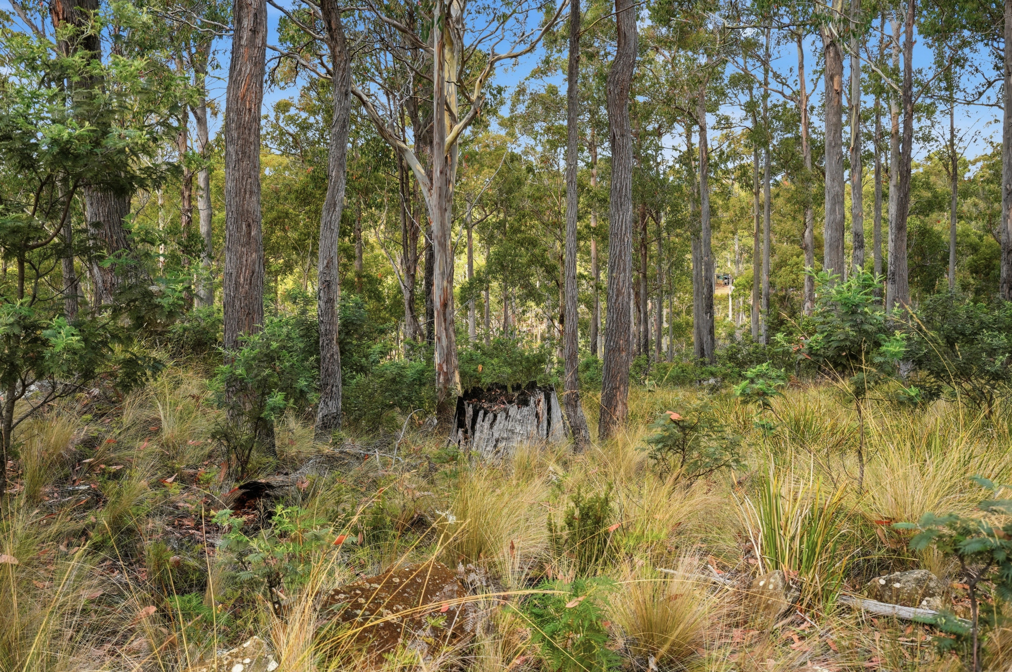 18 Little Spit Road, Lake Leake