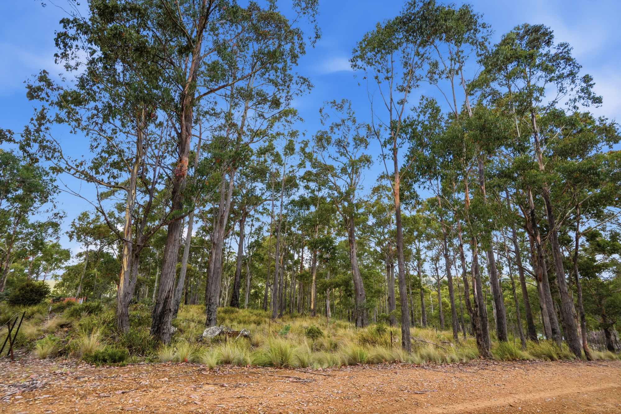 18 Little Spit Road, Lake Leake