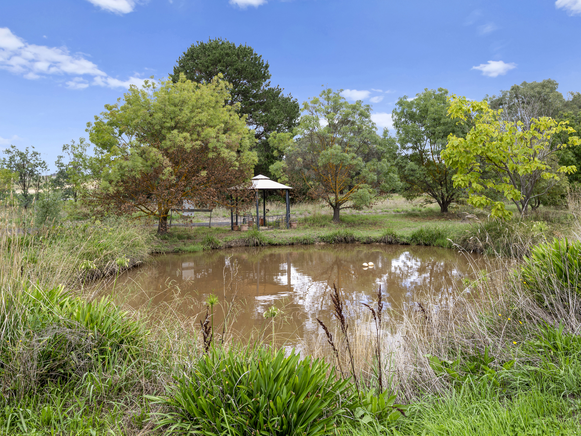 15 Main Street, Maindample