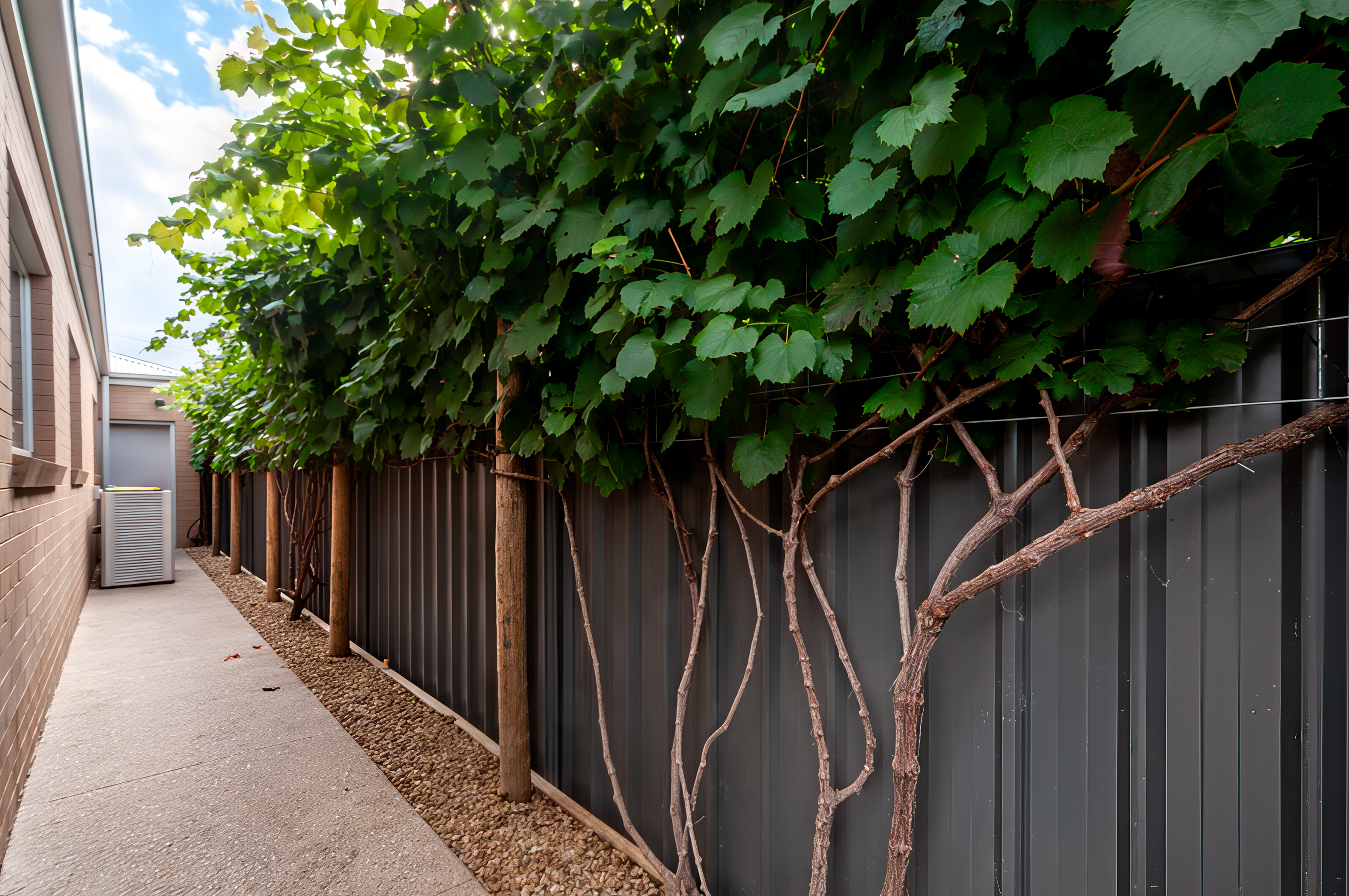 44 Rowe Street, Mansfield