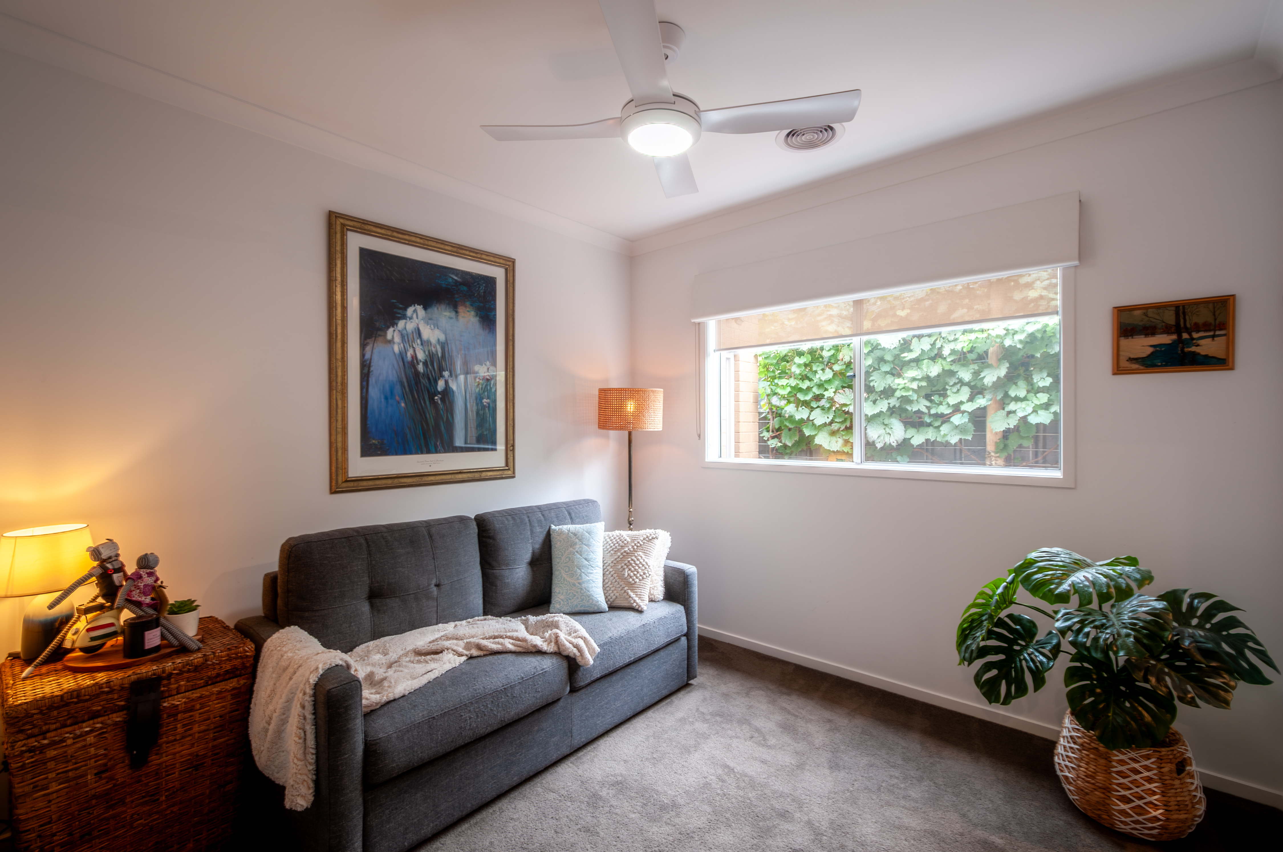 44 Rowe Street, Mansfield