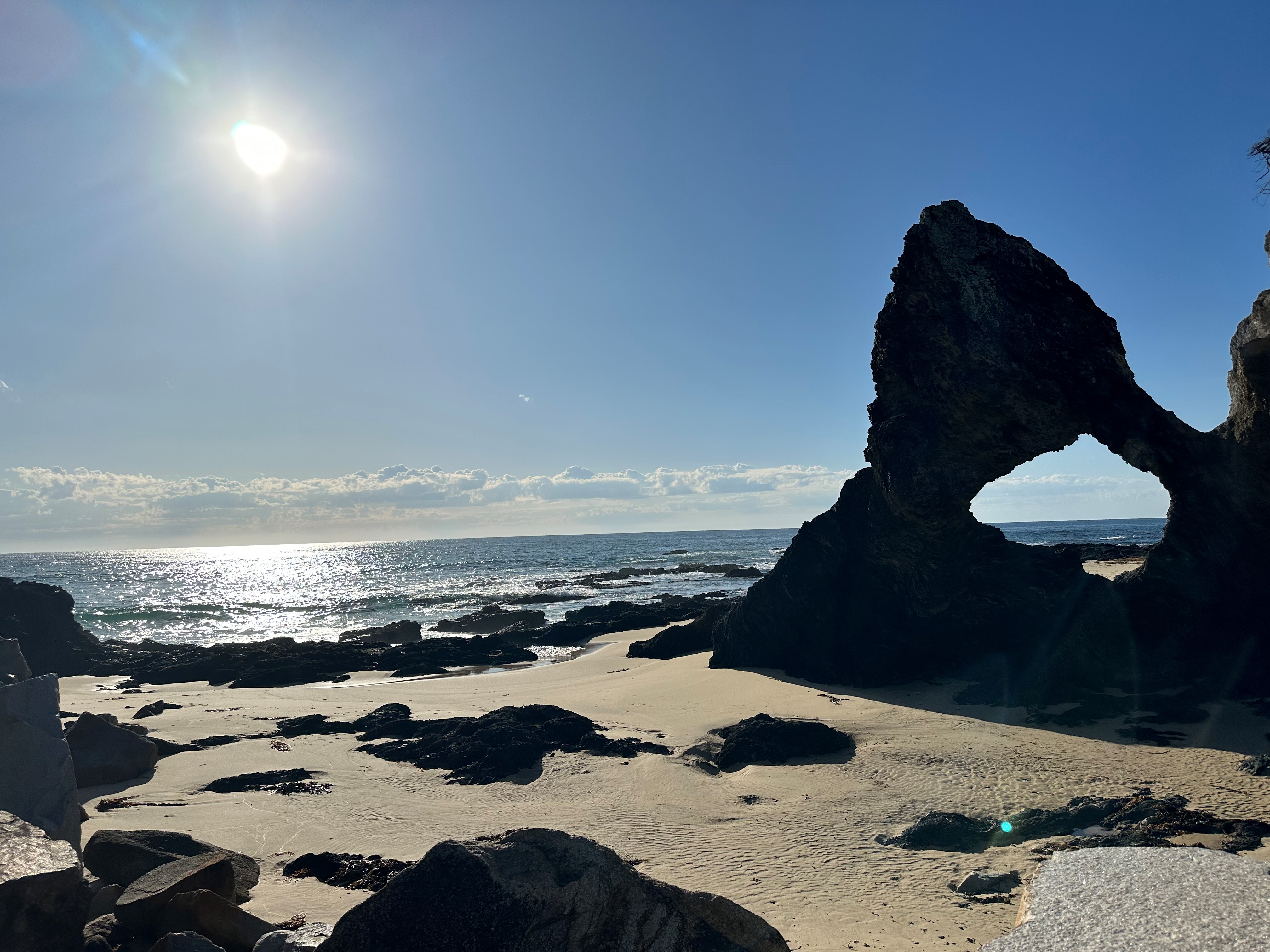 Clearly The Best Window Cleaning