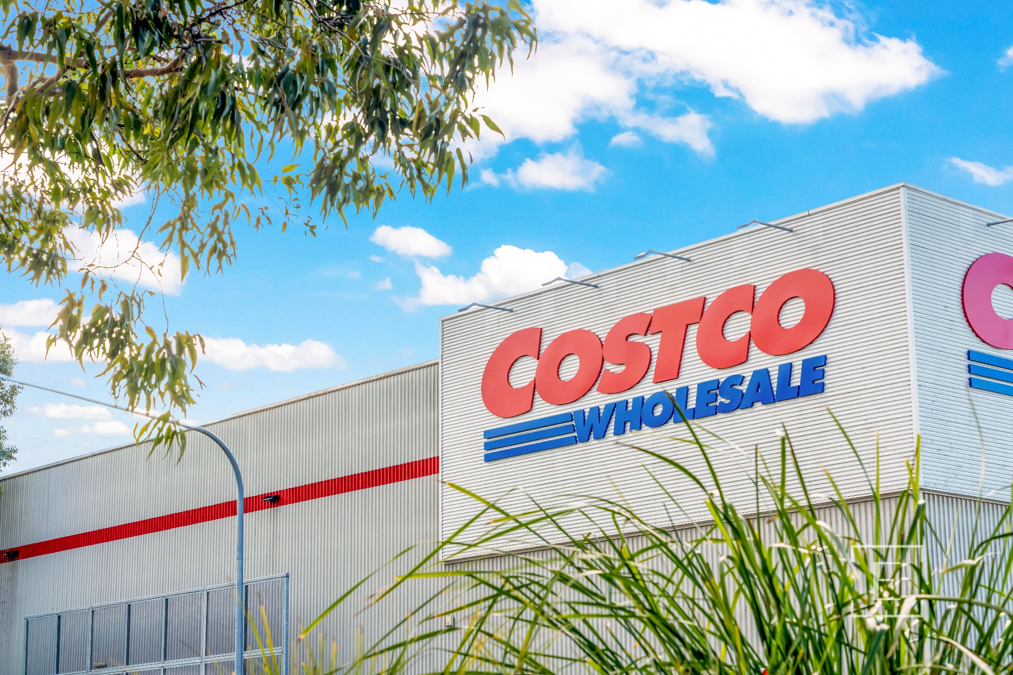 51 Botanica Drive, Lidcombe