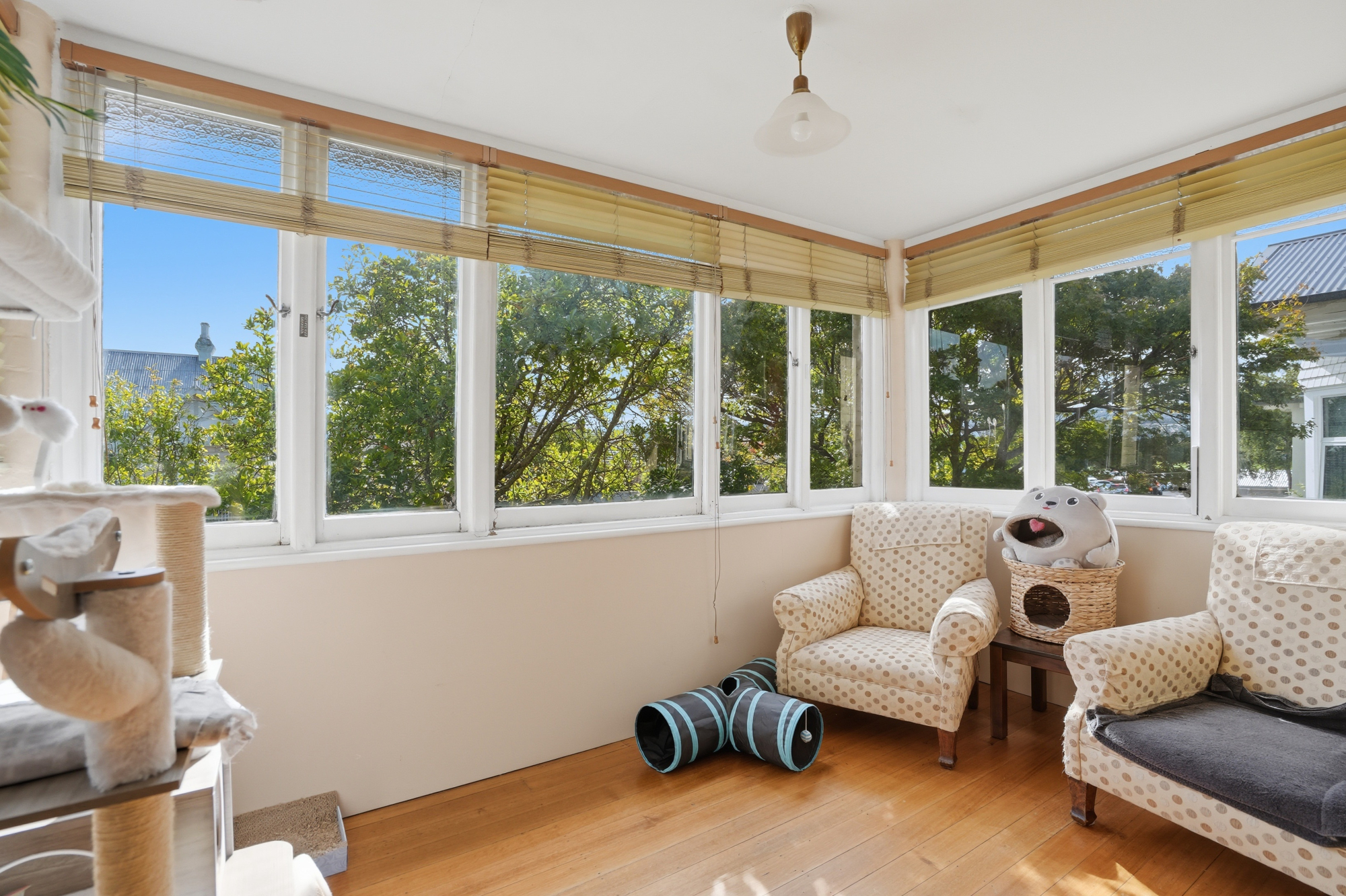 11 Cimitiere Street, Launceston