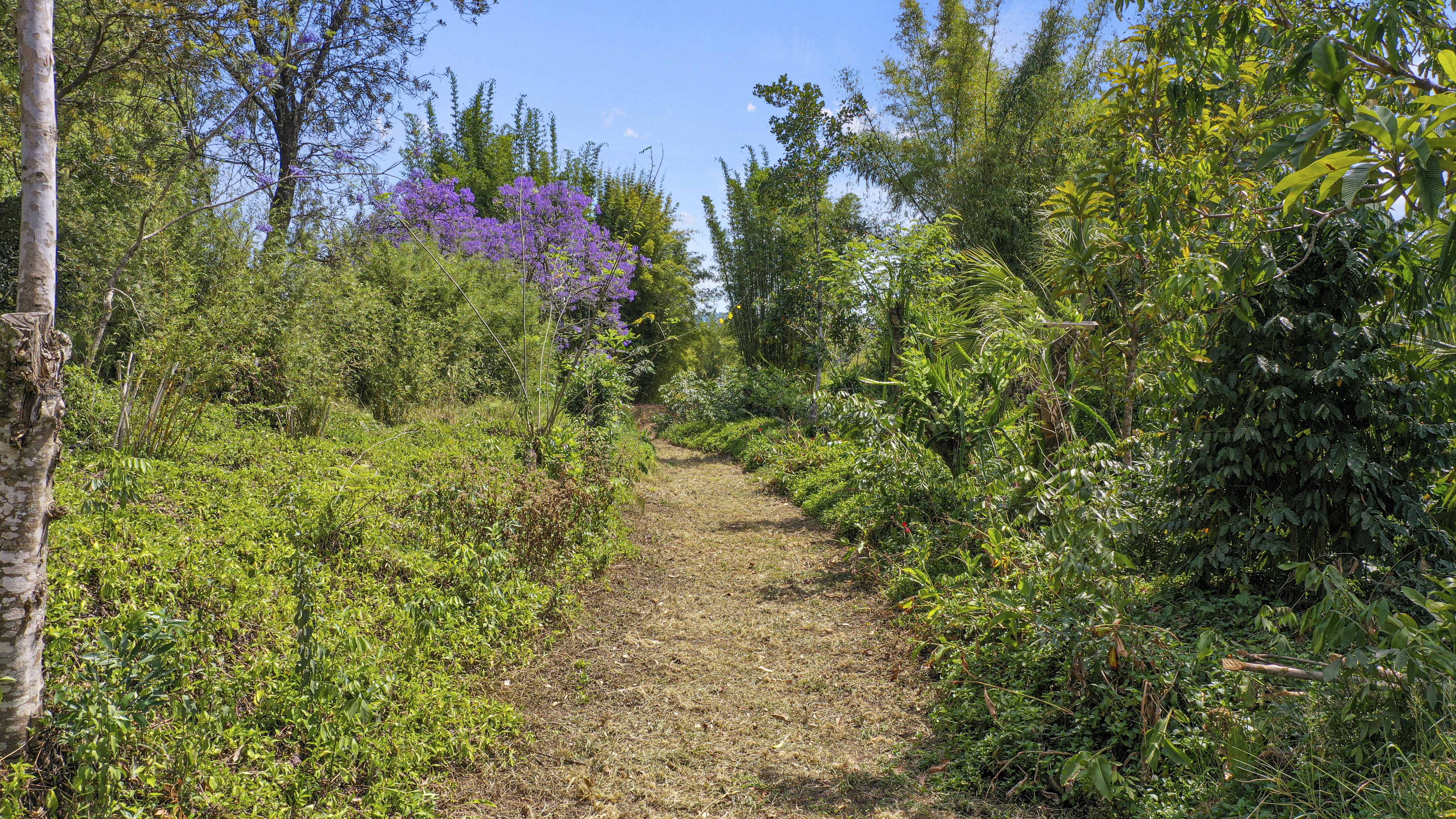 Share D5 / 1158 Pinchin Road, The Channon