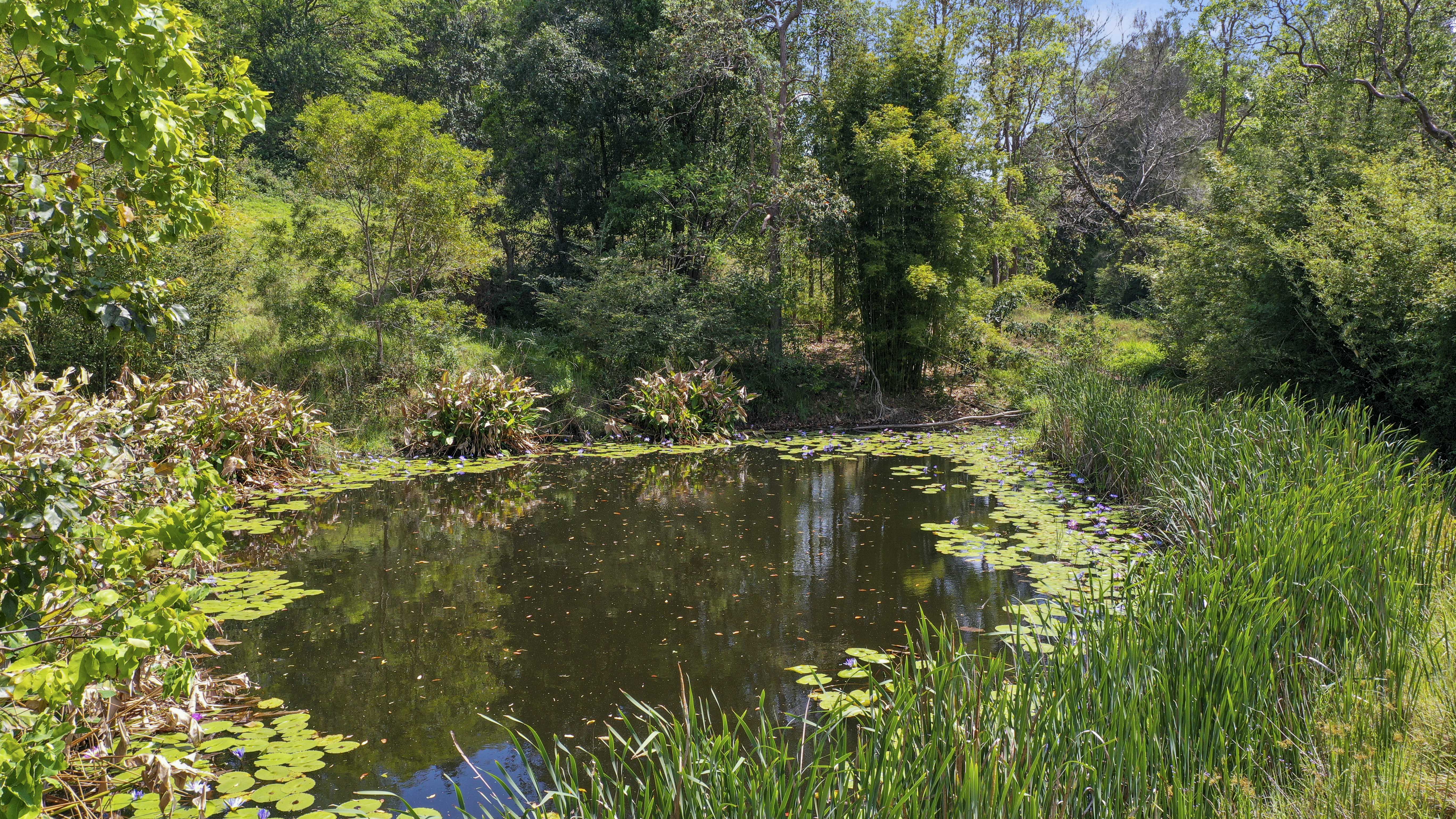 Share D5 / 1158 Pinchin Road, The Channon