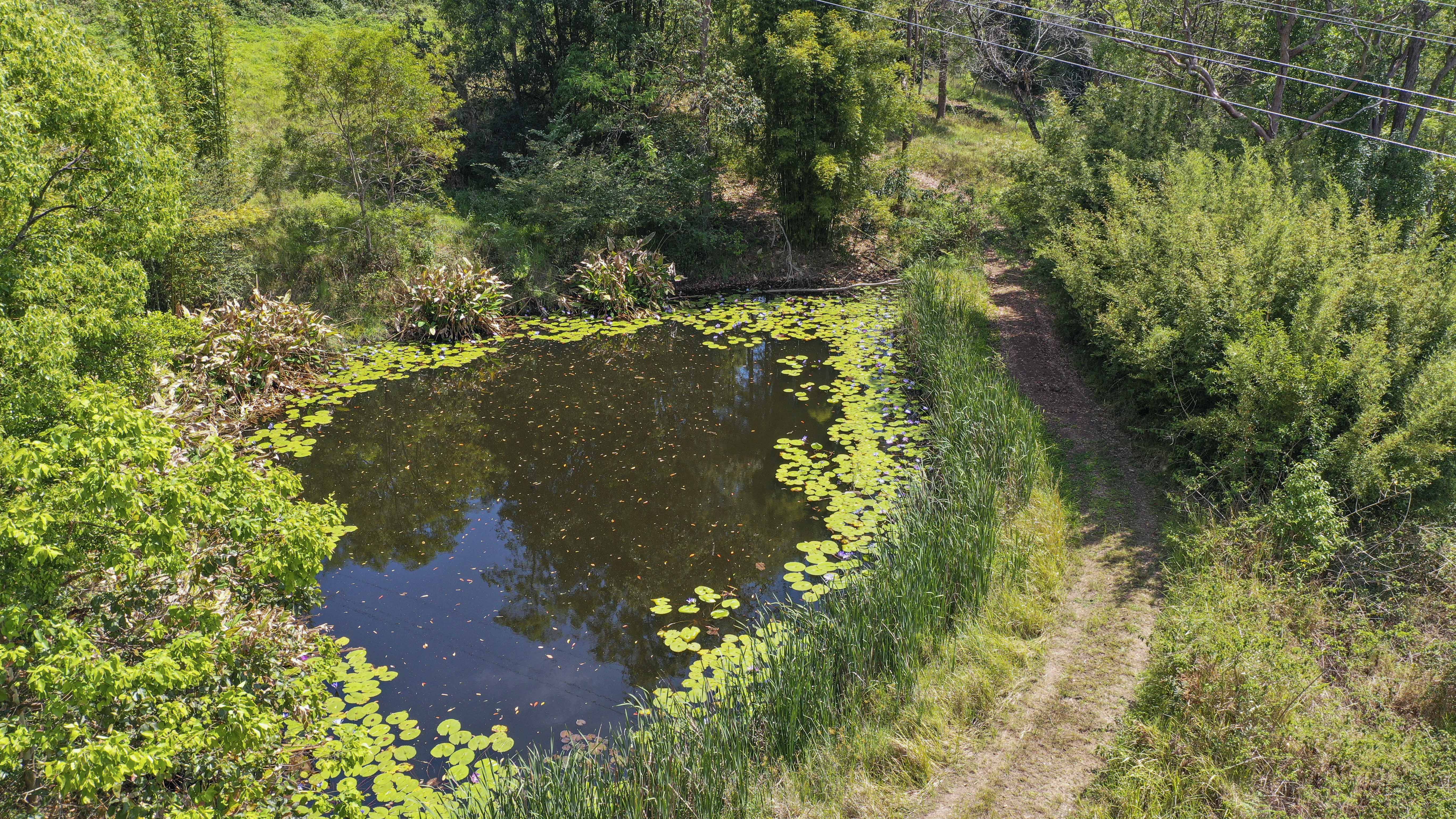 Share D5 / 1158 Pinchin Road, The Channon