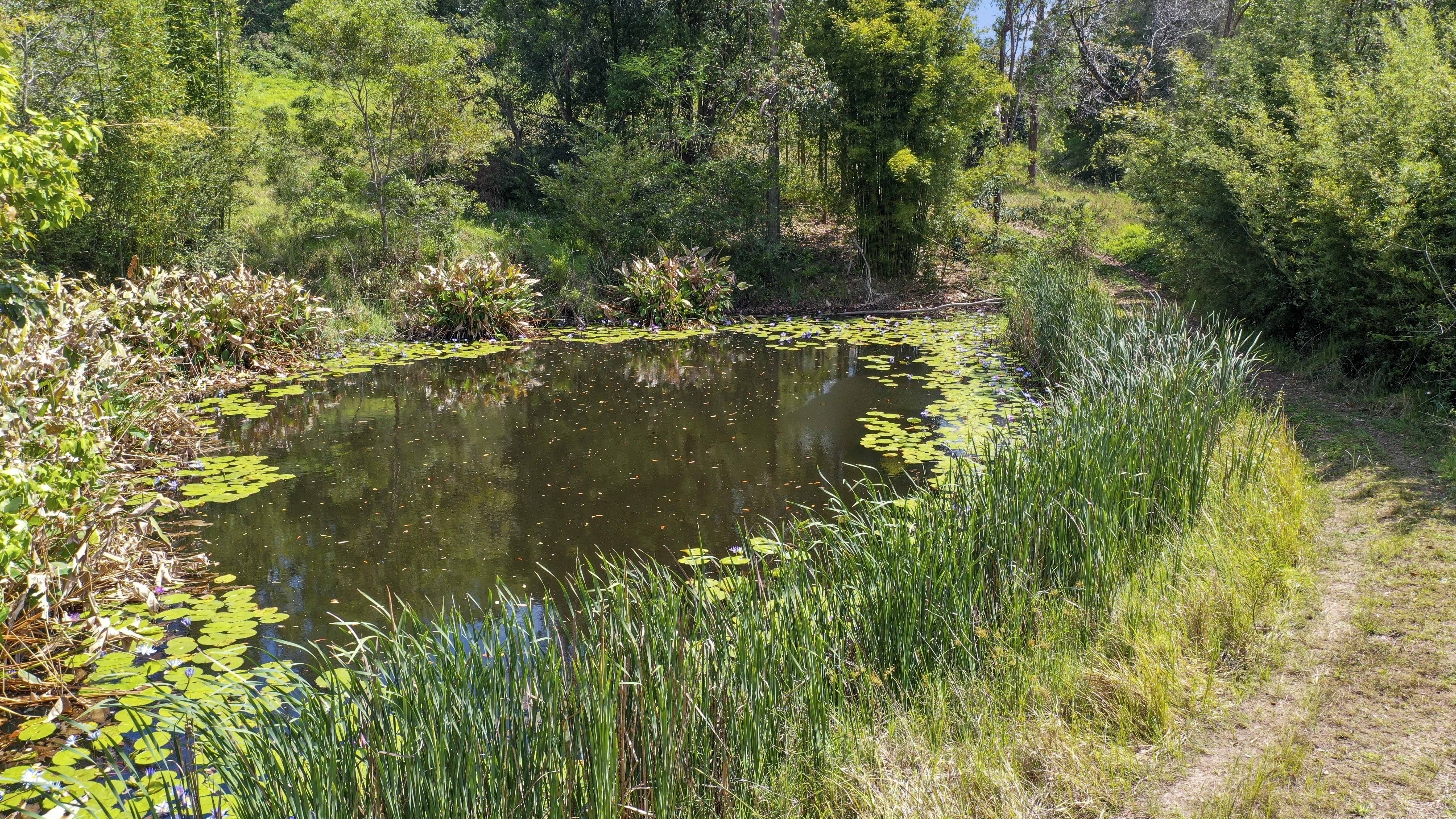 Share D5 / 1158 Pinchin Road, The Channon