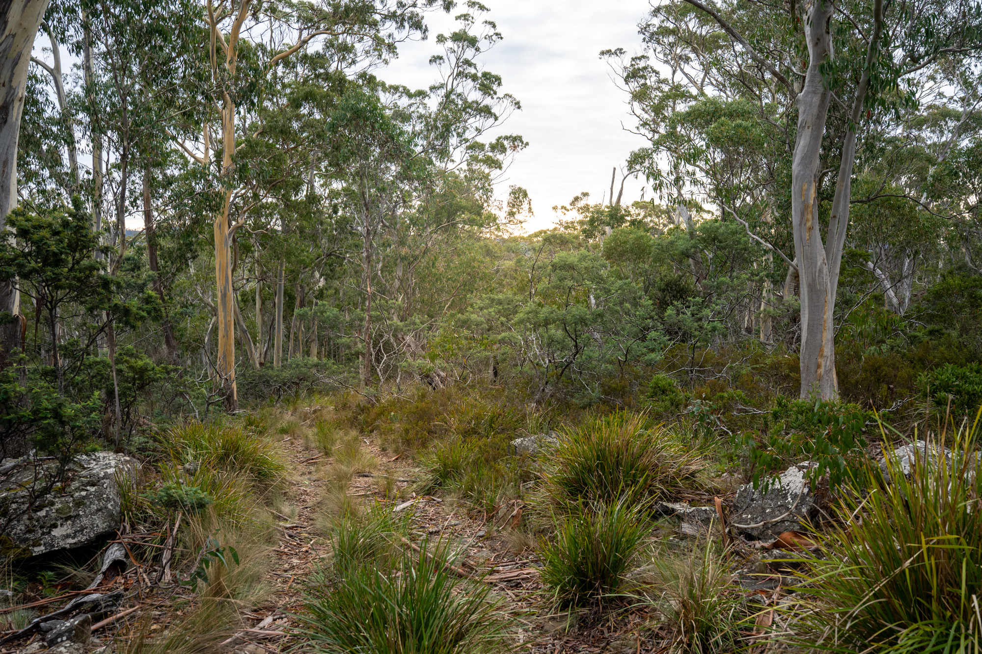'Hardings Bay Retreat', Lake Leake Road, Lake Leake