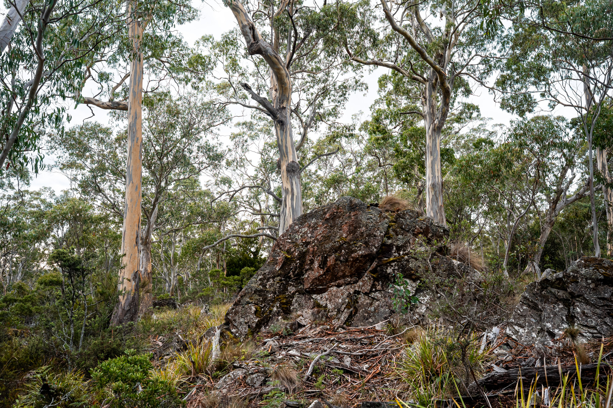 'Hardings Bay Retreat', Lake Leake Road, Lake Leake
