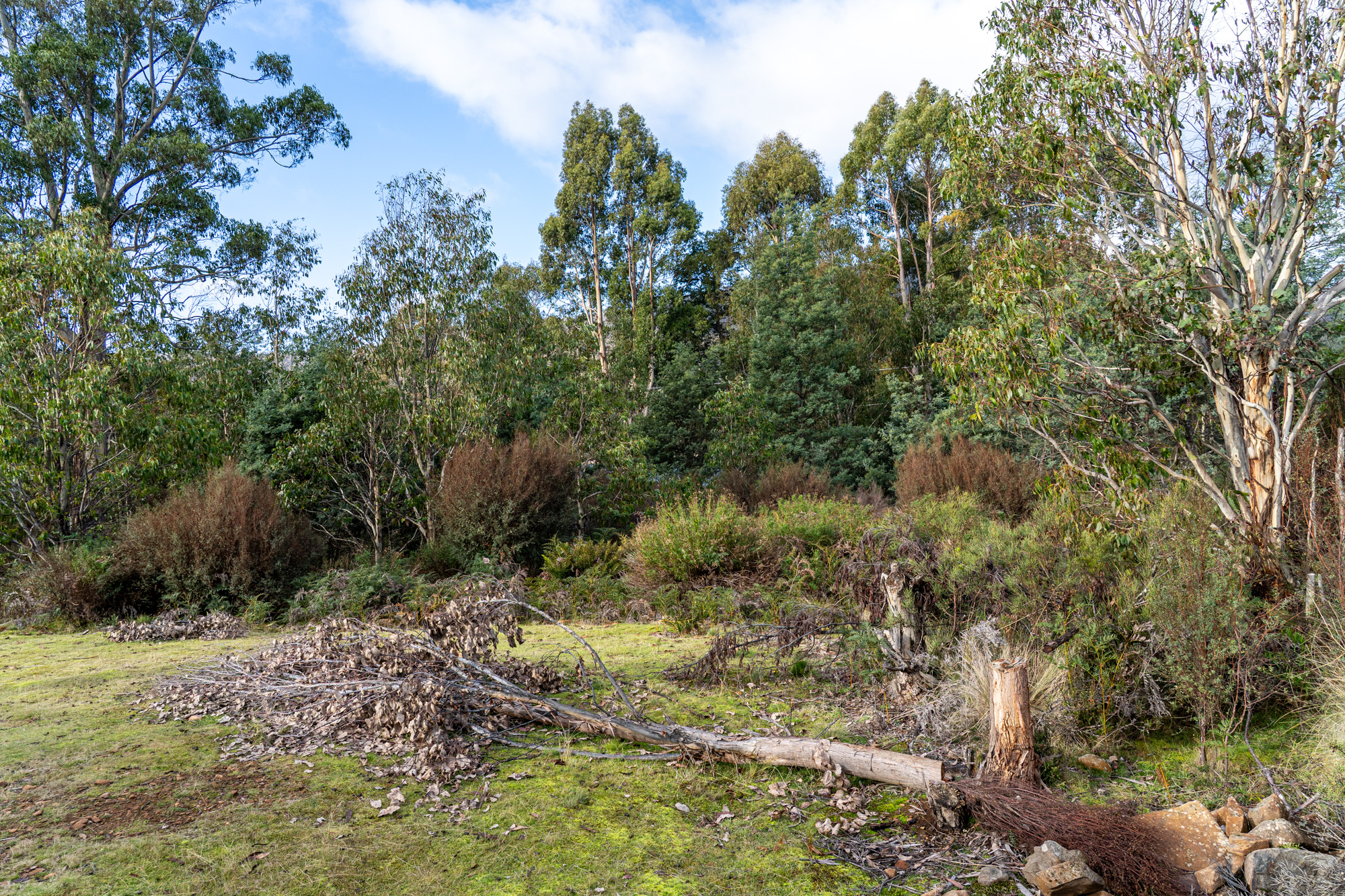 256 Bradys Lake Road, Bradys Lake