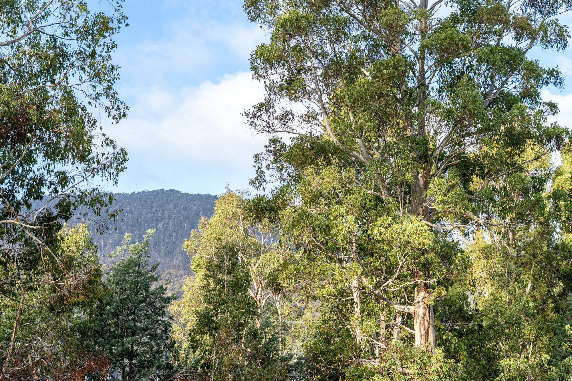 256 Bradys Lake Road, Bradys Lake