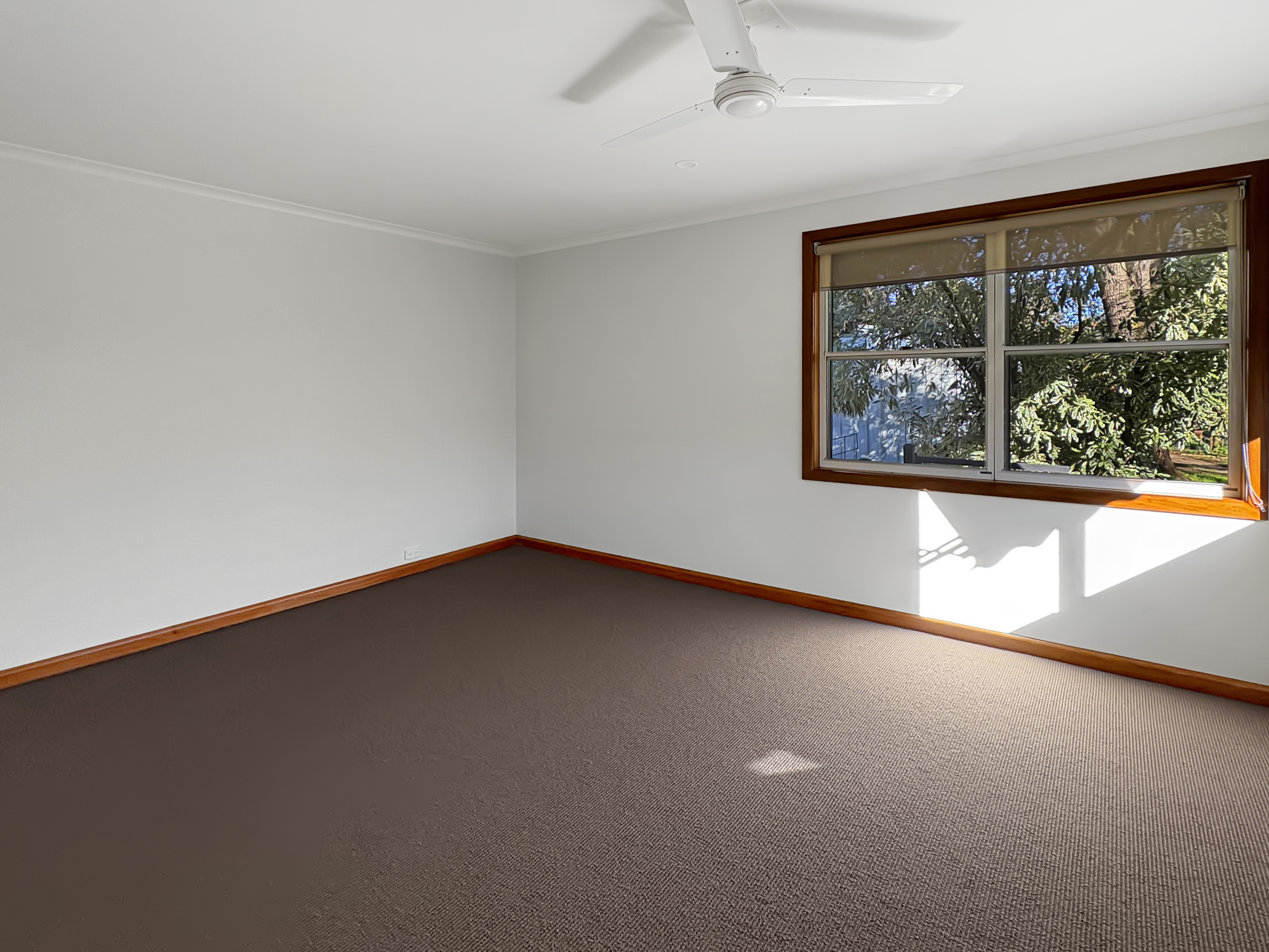2 Minerva Street, Mansfield