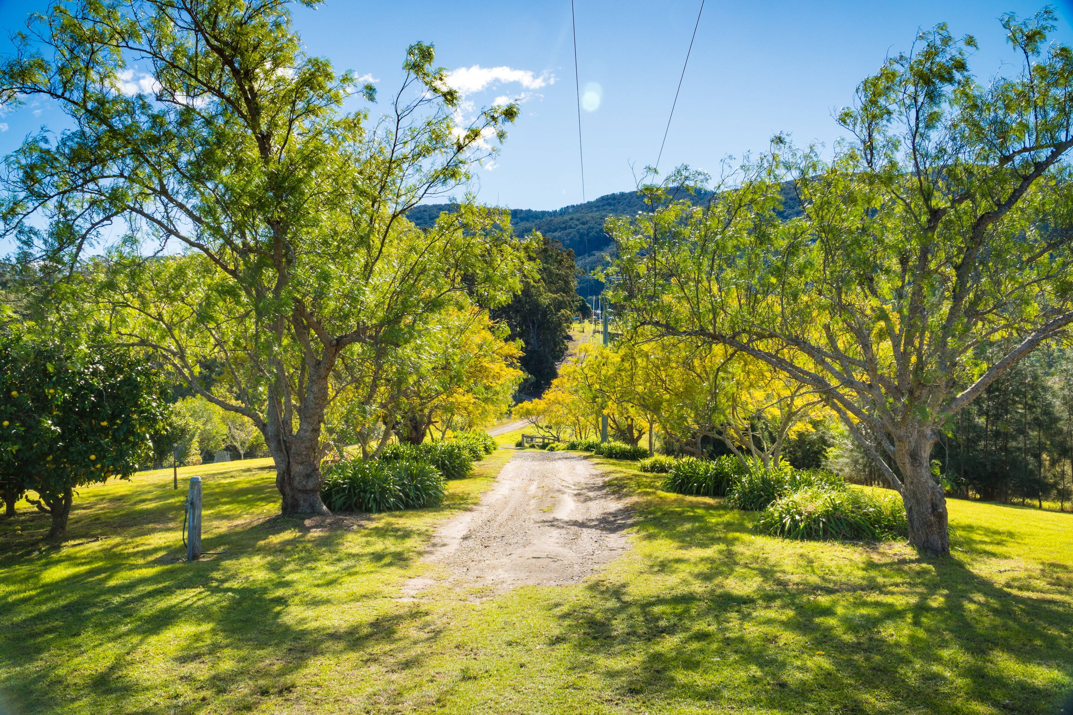 9050 Princes Highway, Tilba Tilba
