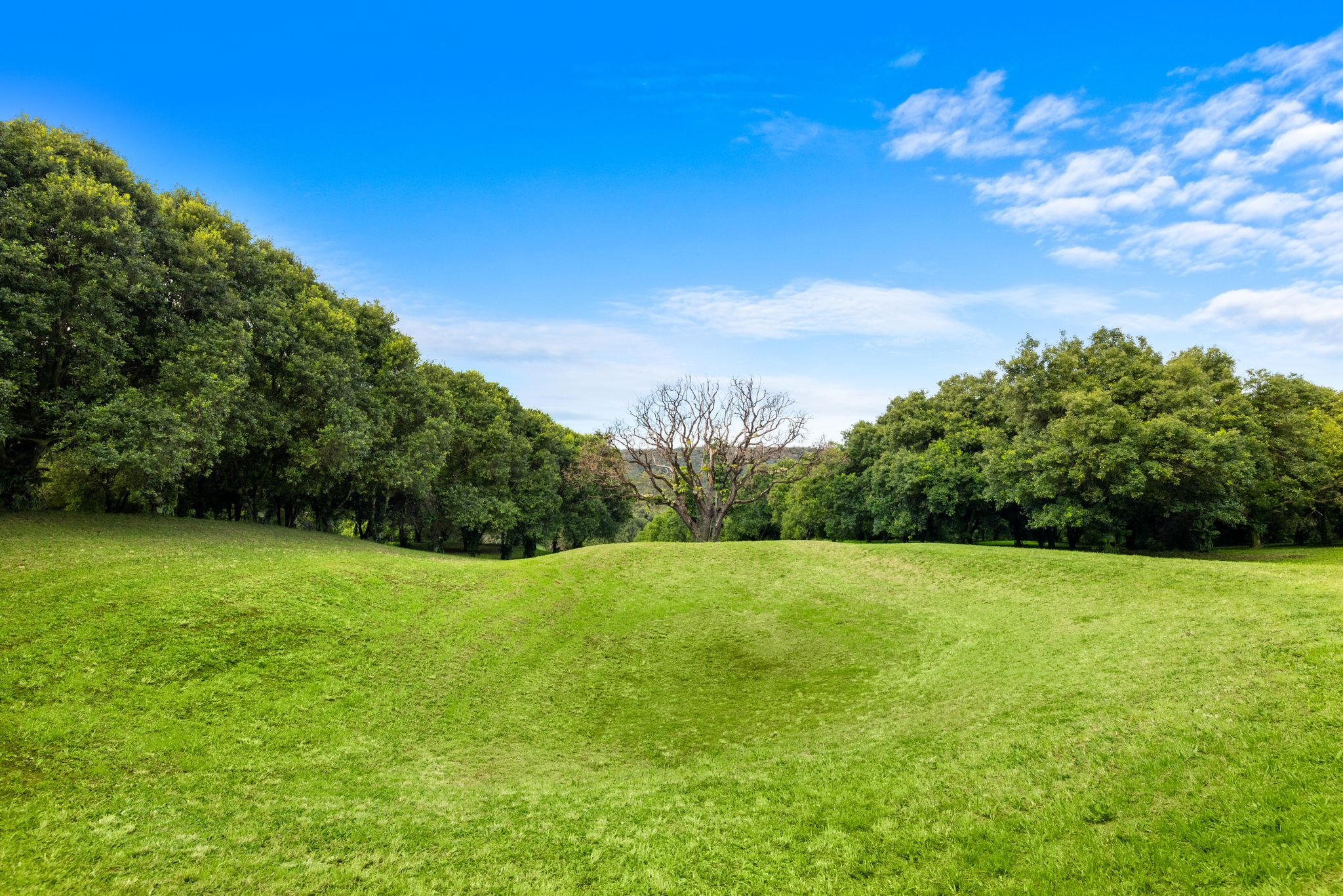 1005 TUNTABLE CREEK ROAD, Nimbin