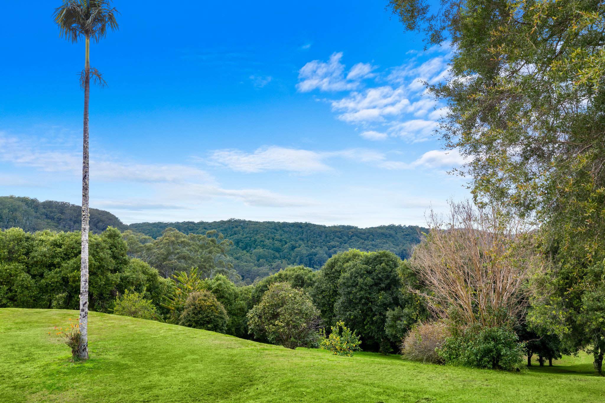 1005 TUNTABLE CREEK ROAD, Nimbin