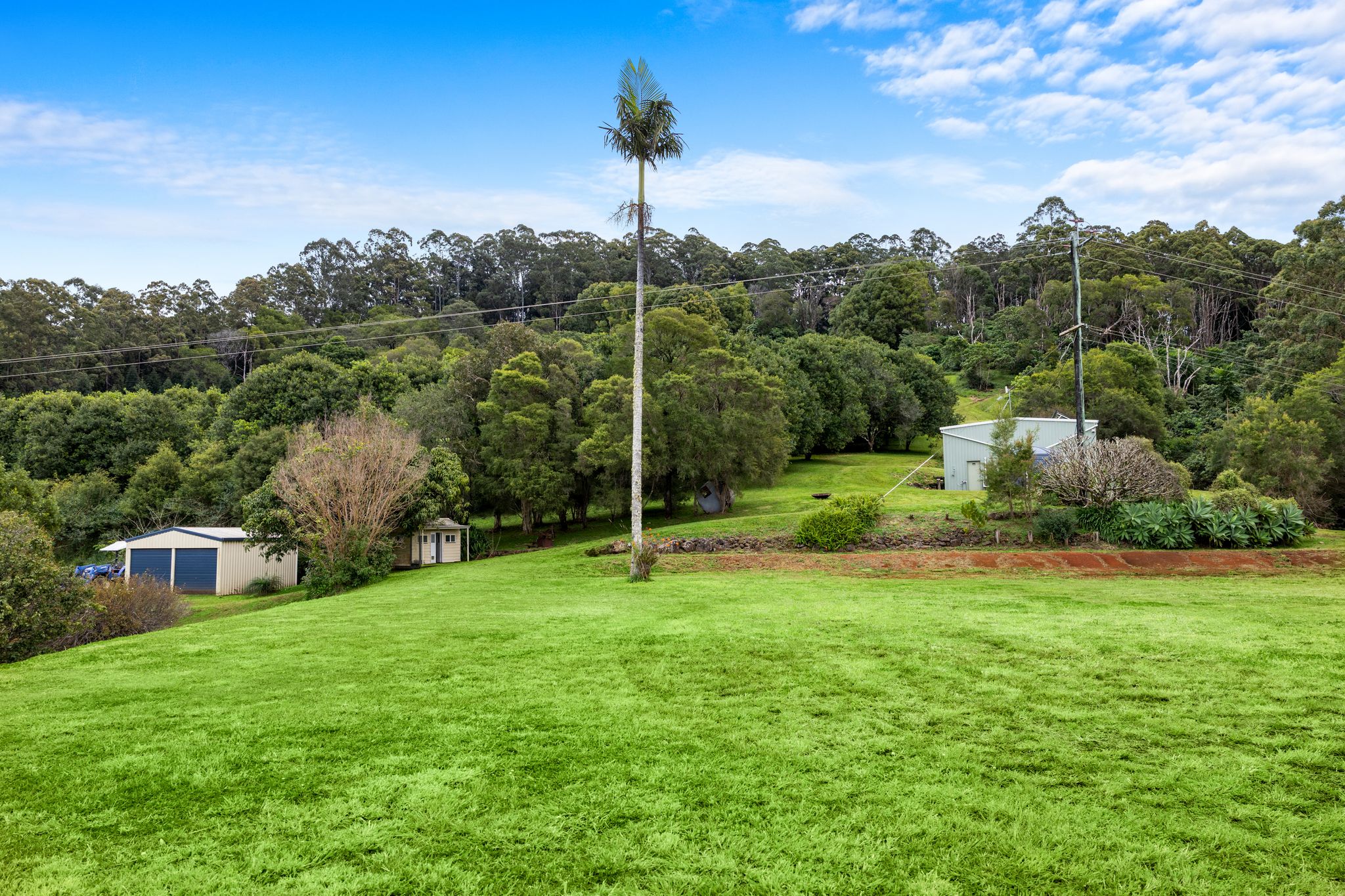1005 TUNTABLE CREEK ROAD, Nimbin