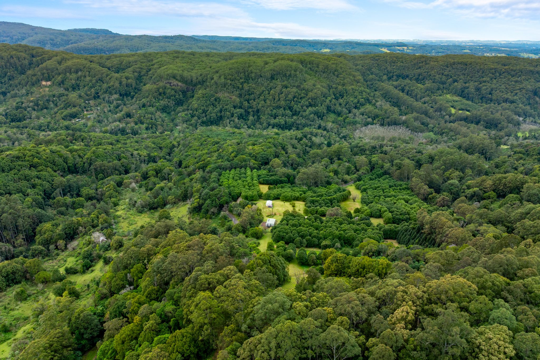 1005 TUNTABLE CREEK ROAD, Nimbin