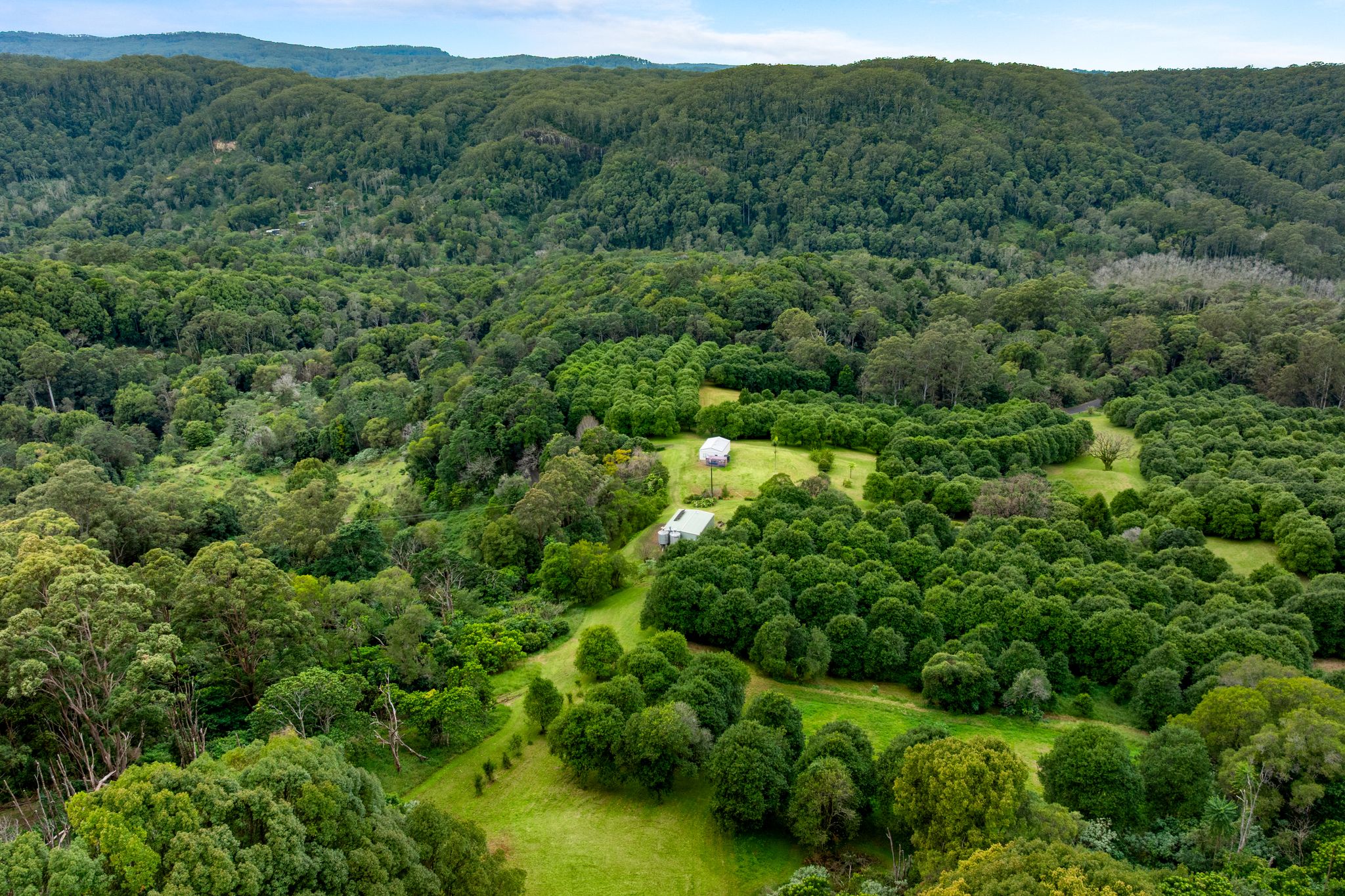 1005 TUNTABLE CREEK ROAD, Nimbin