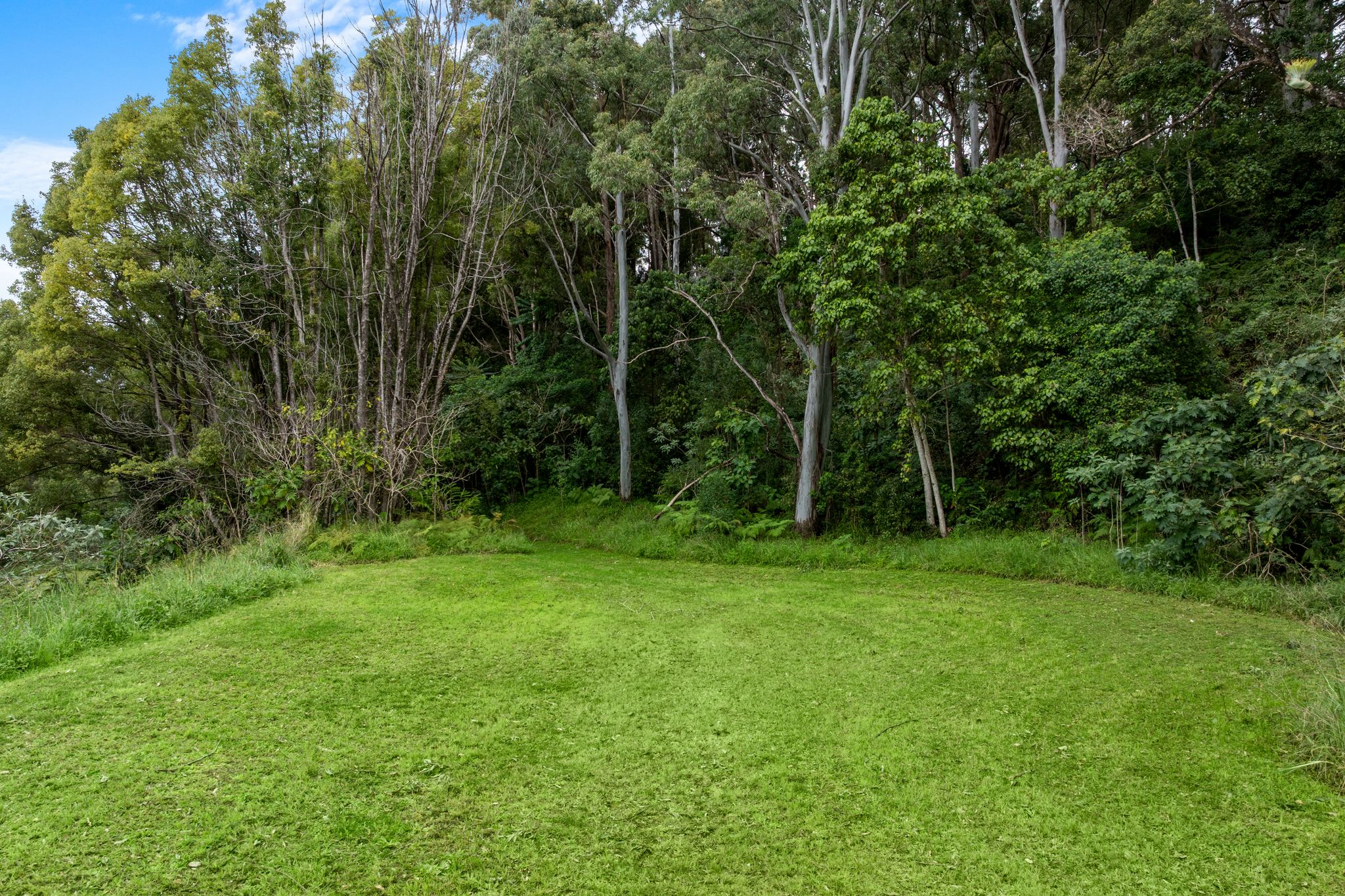 1005 TUNTABLE CREEK ROAD, Nimbin