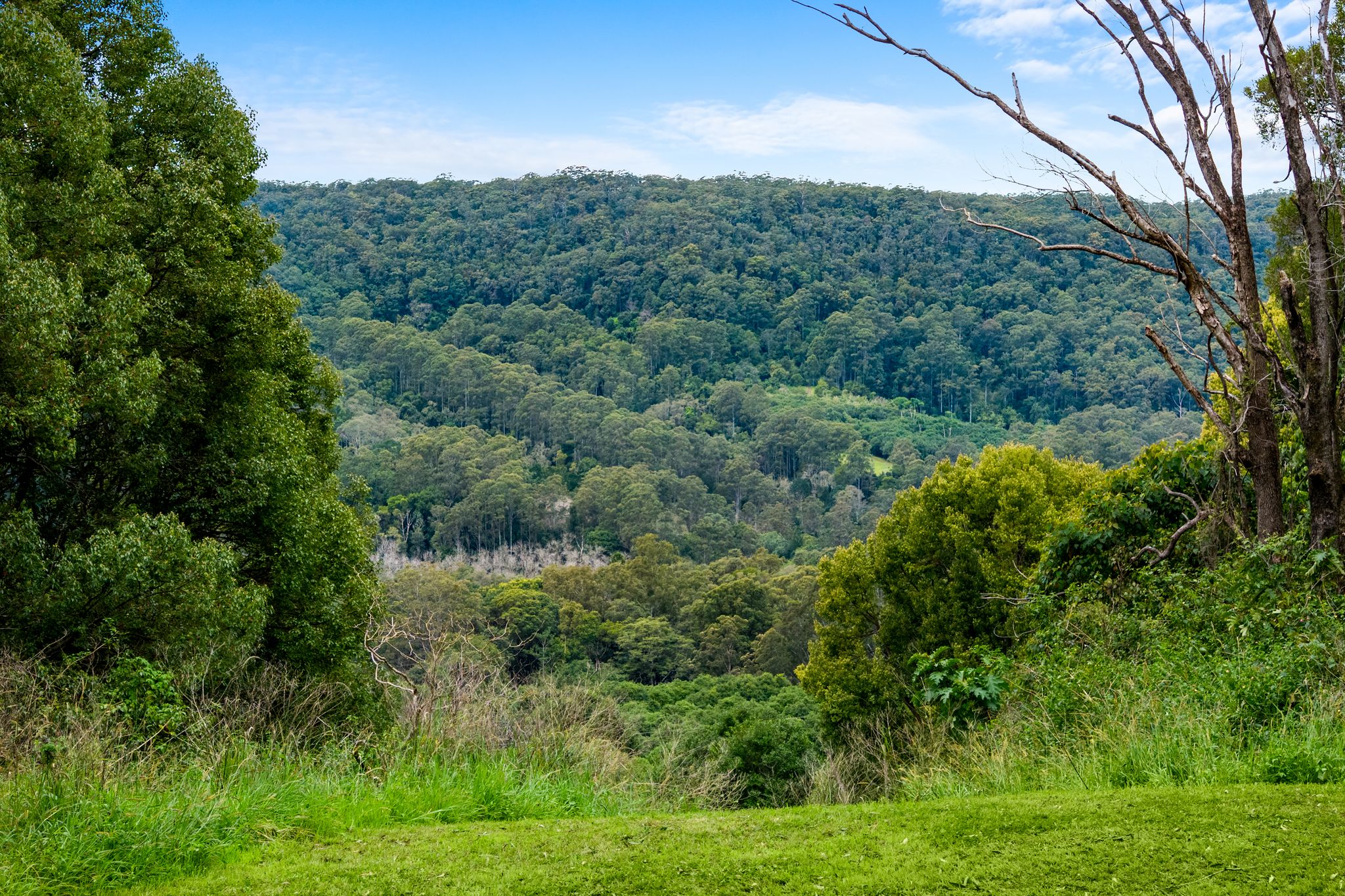 1005 TUNTABLE CREEK ROAD, Nimbin
