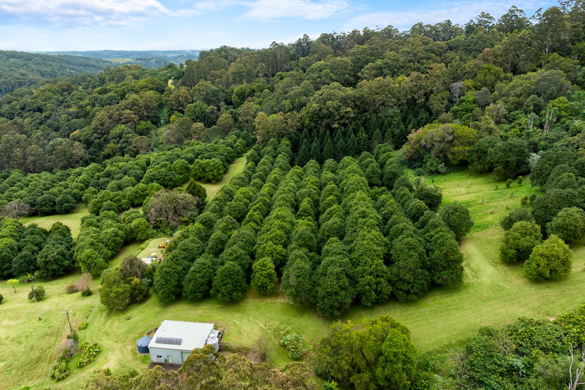1005 TUNTABLE CREEK ROAD, Nimbin
