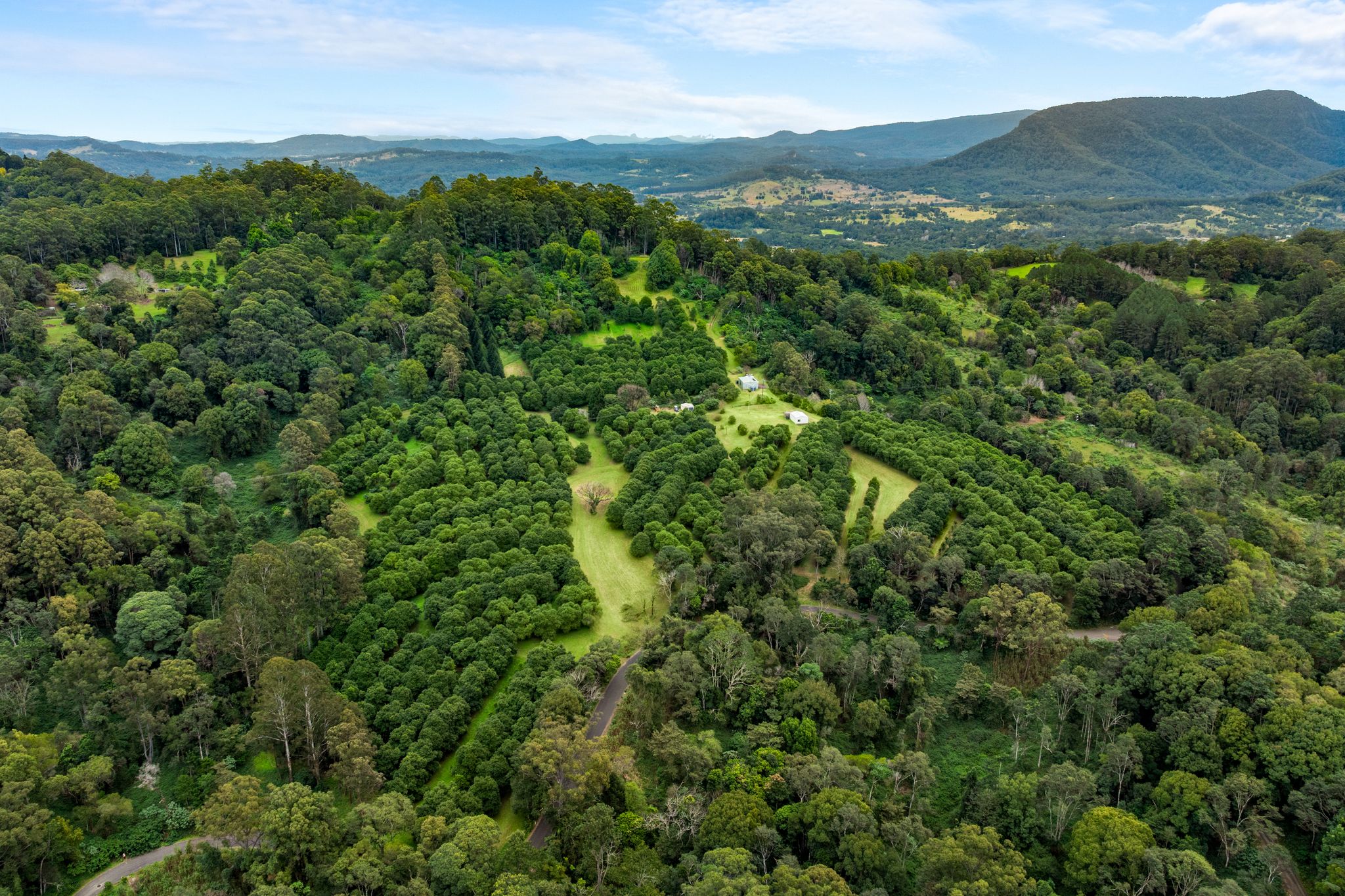 1005 TUNTABLE CREEK ROAD, Nimbin
