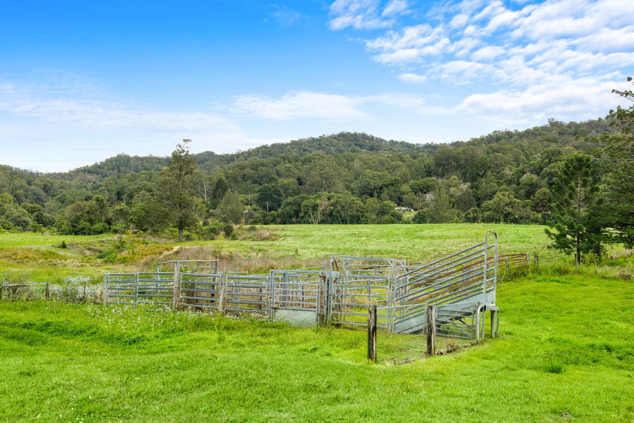 1855 Nimbin Road, Coffee Camp