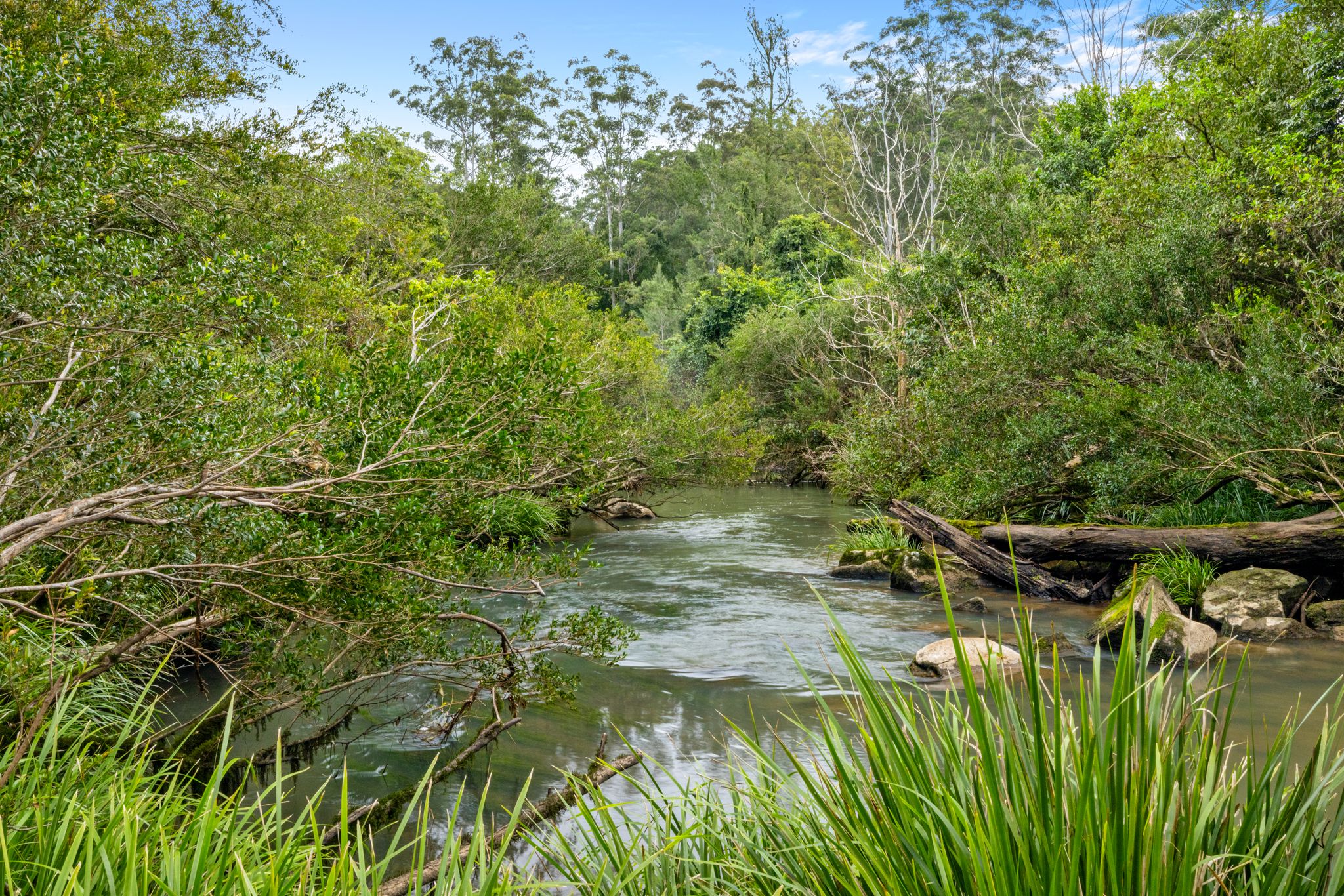 1855 Nimbin Road, Coffee Camp