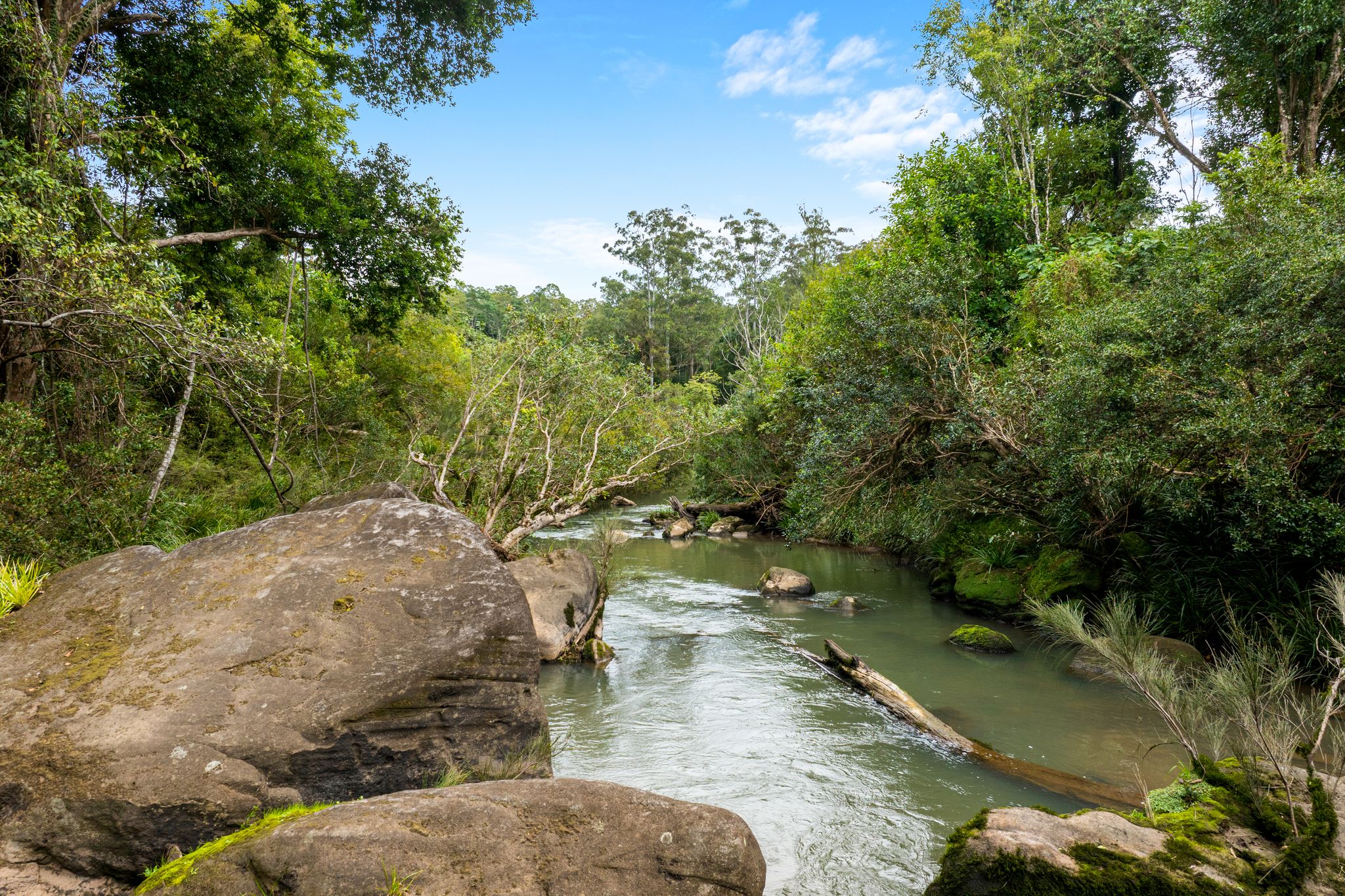 1855 Nimbin Road, Coffee Camp