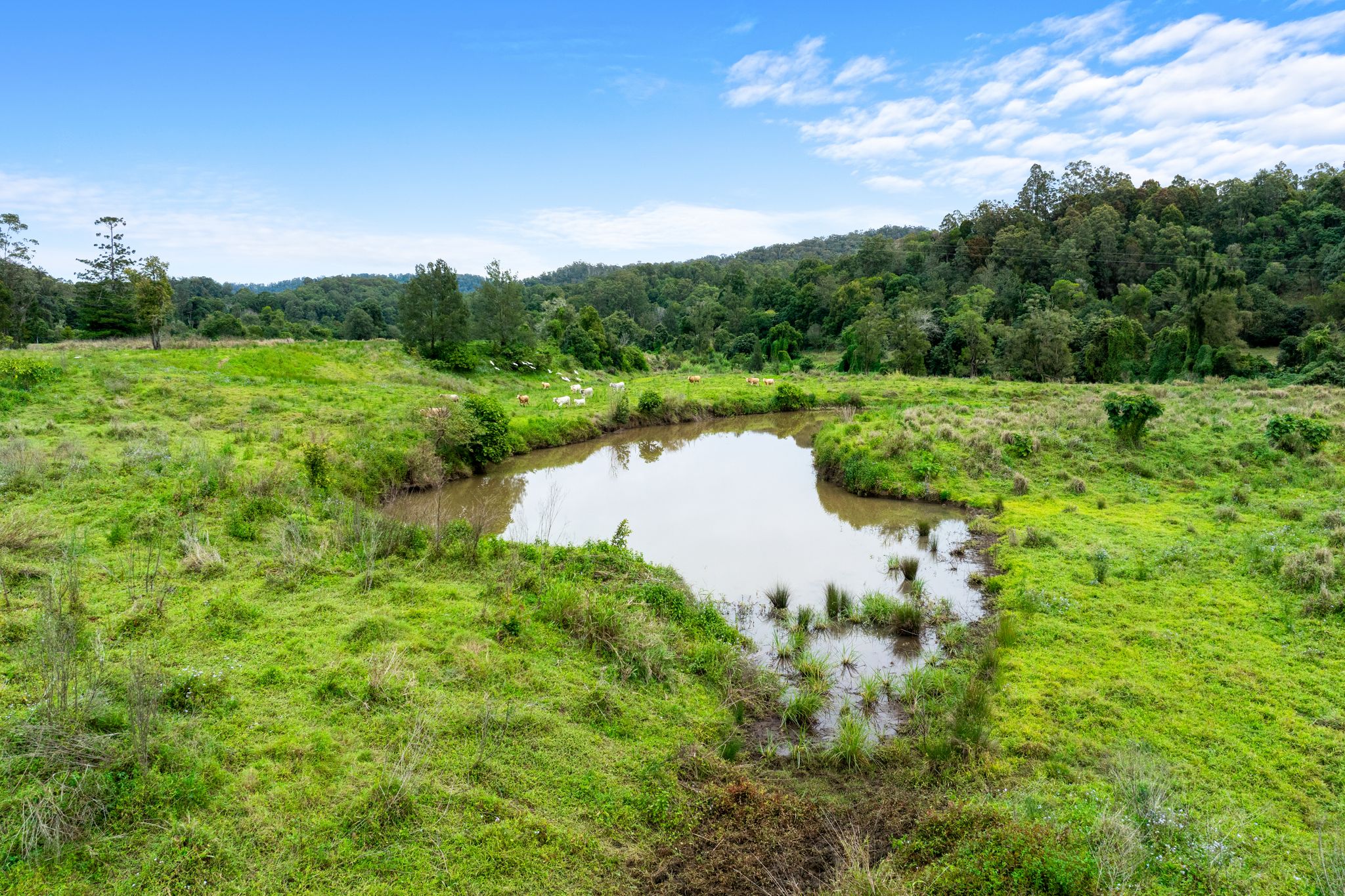 1855 Nimbin Road, Coffee Camp