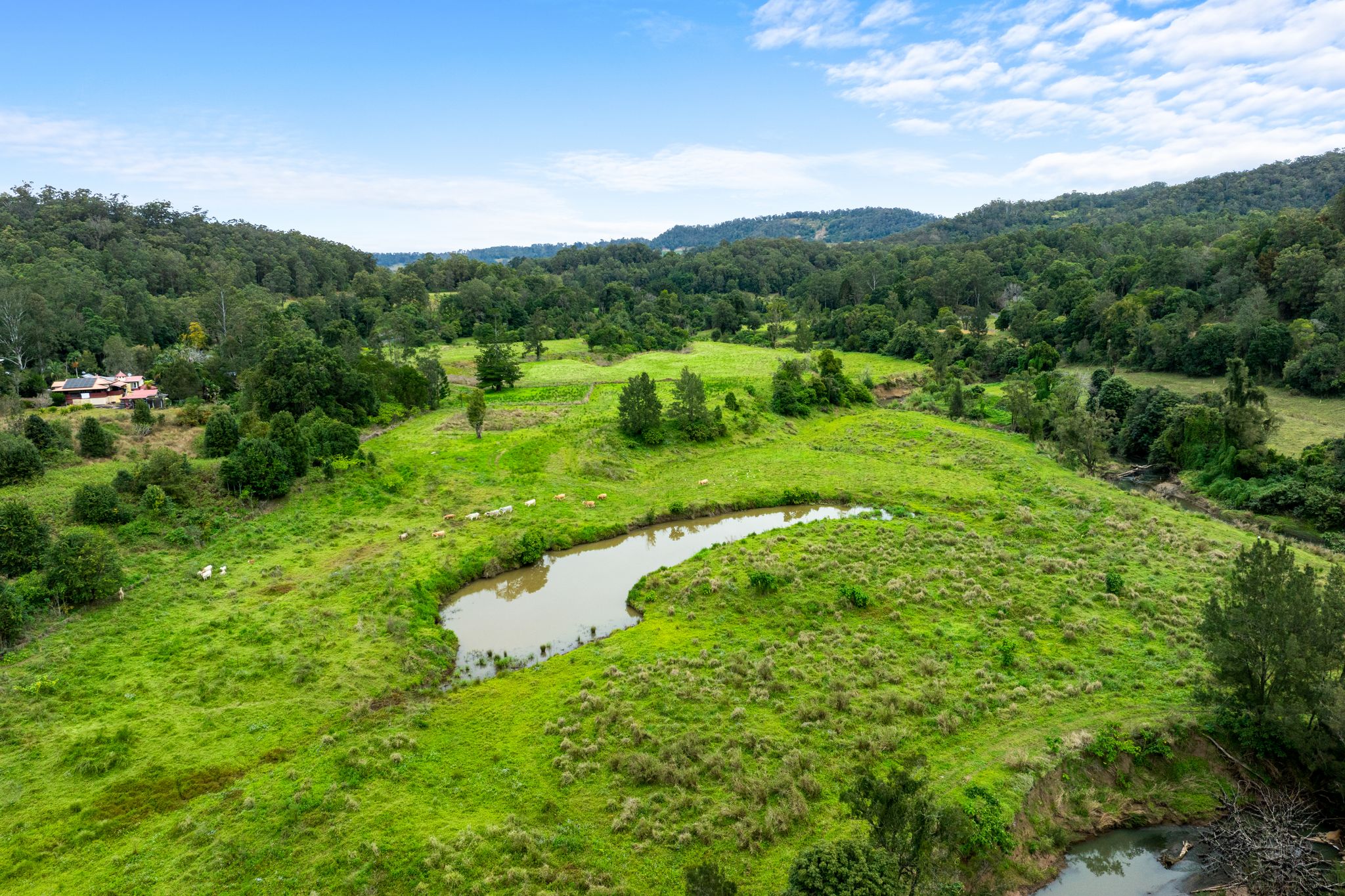 1855 Nimbin Road, Coffee Camp