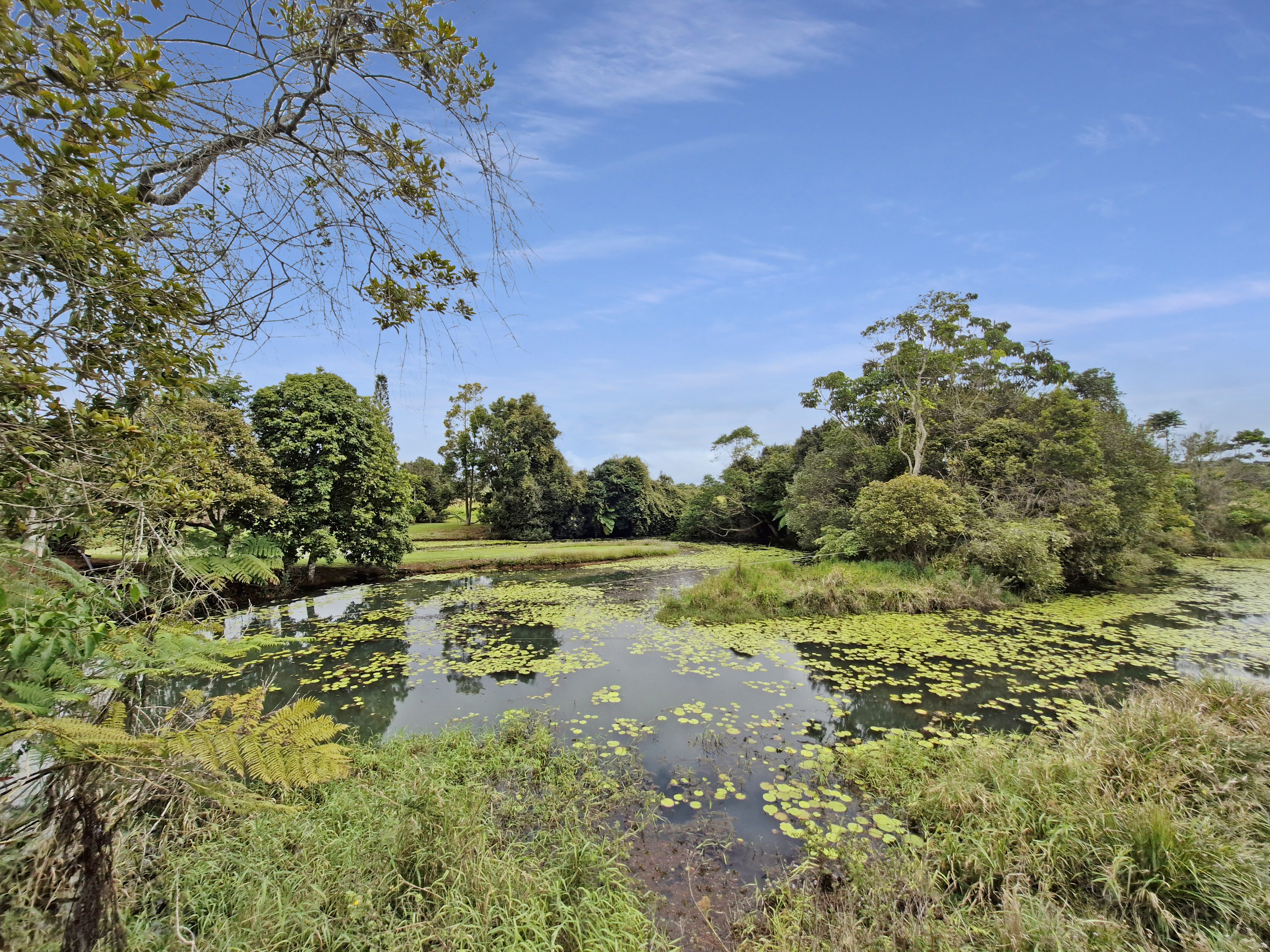 57 Anderson Road, Peeramon