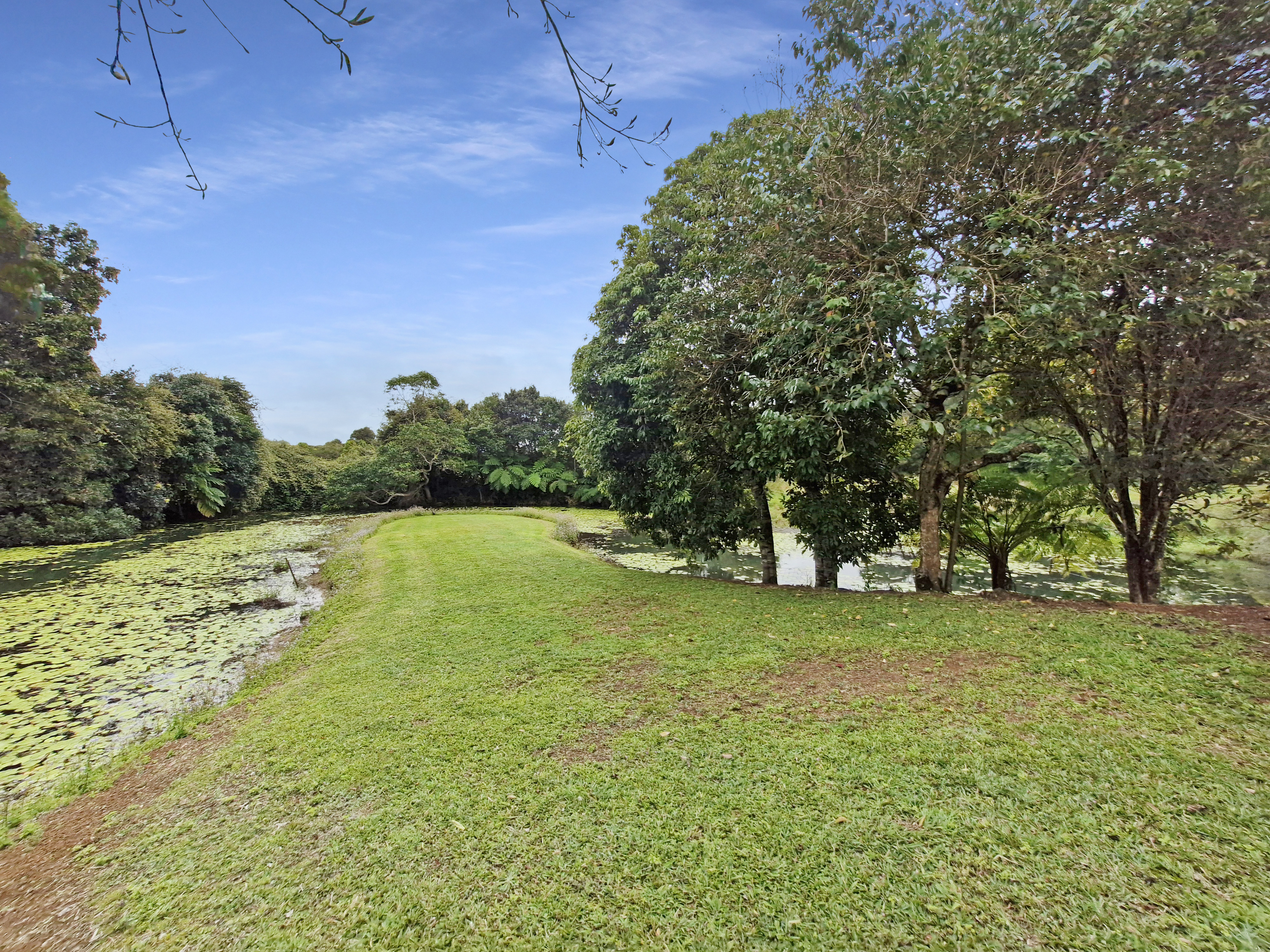 57 Anderson Road, Peeramon