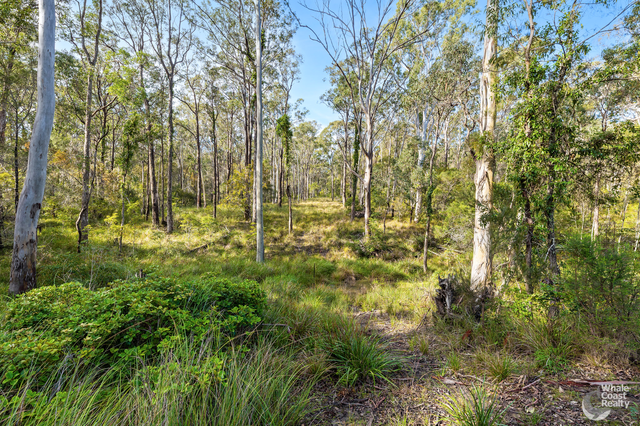 37 Collett Place, Meringo