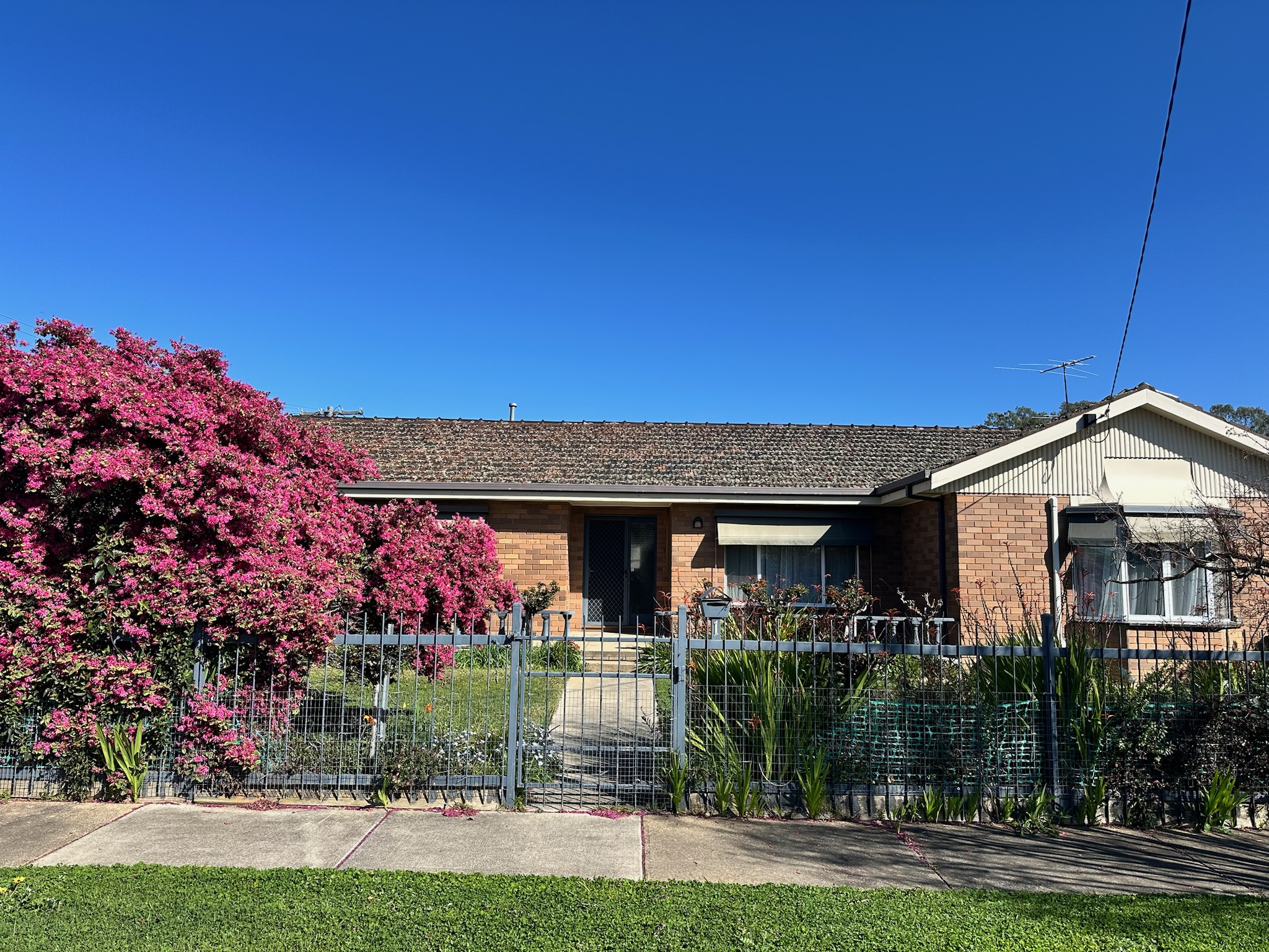 1 Dallwitz Court, Wangaratta