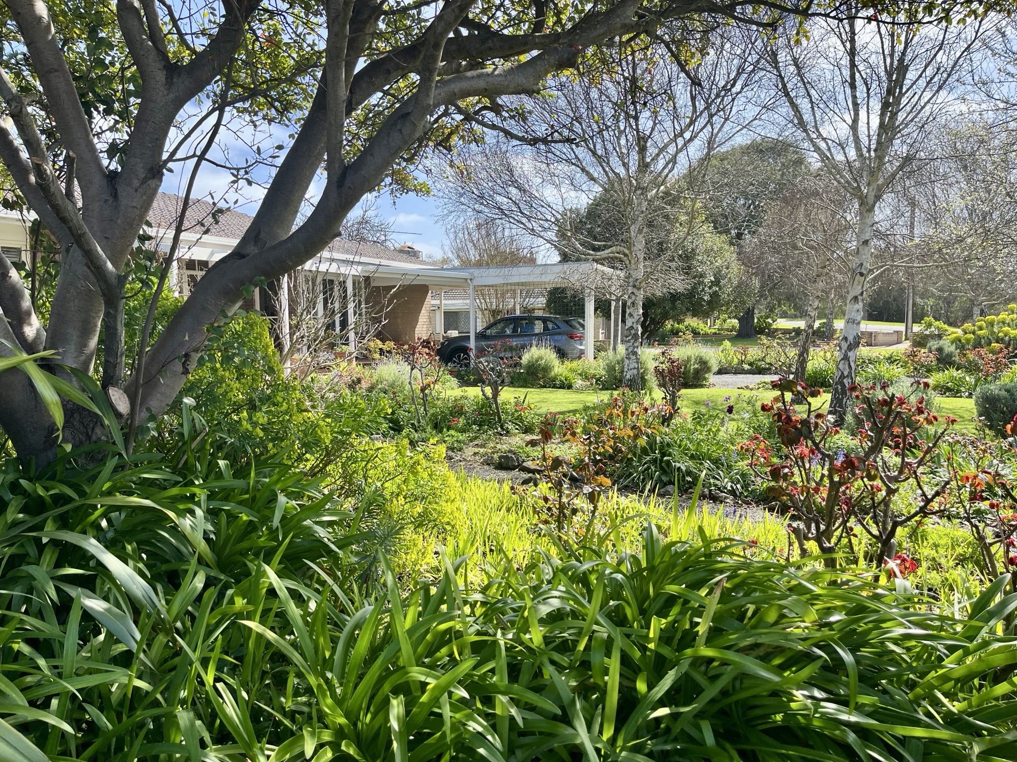 17 Adams Street, Donovans