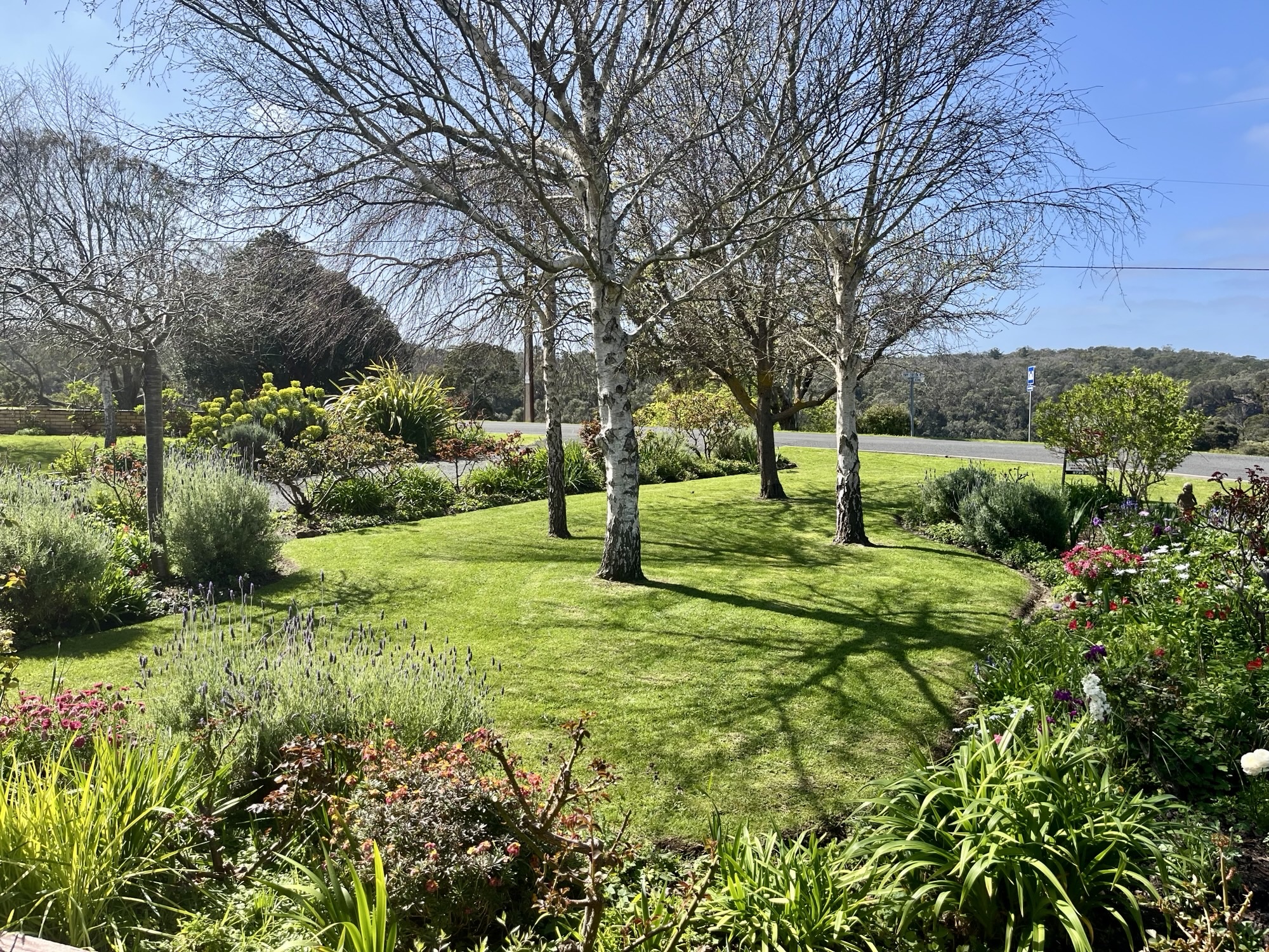 17 Adams Street, Donovans