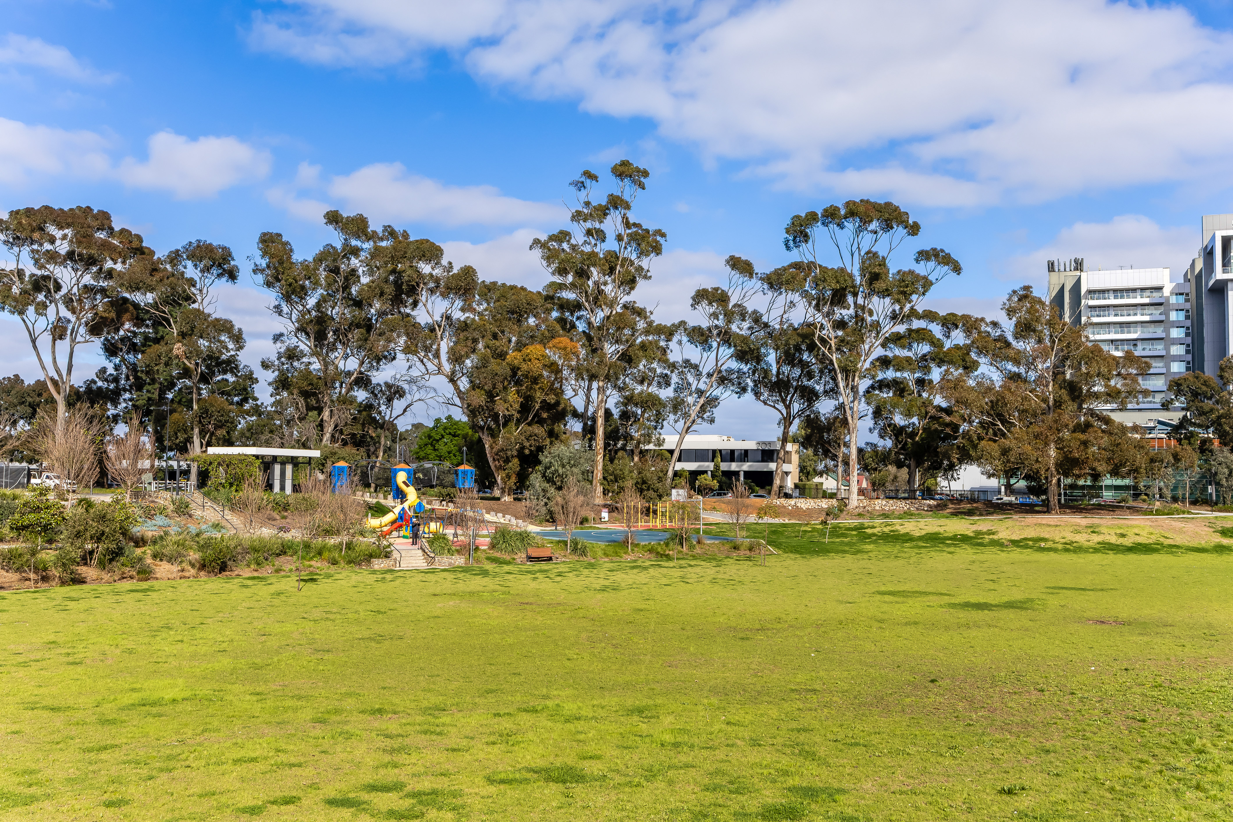 31 Lomandra Avenue, Glenside