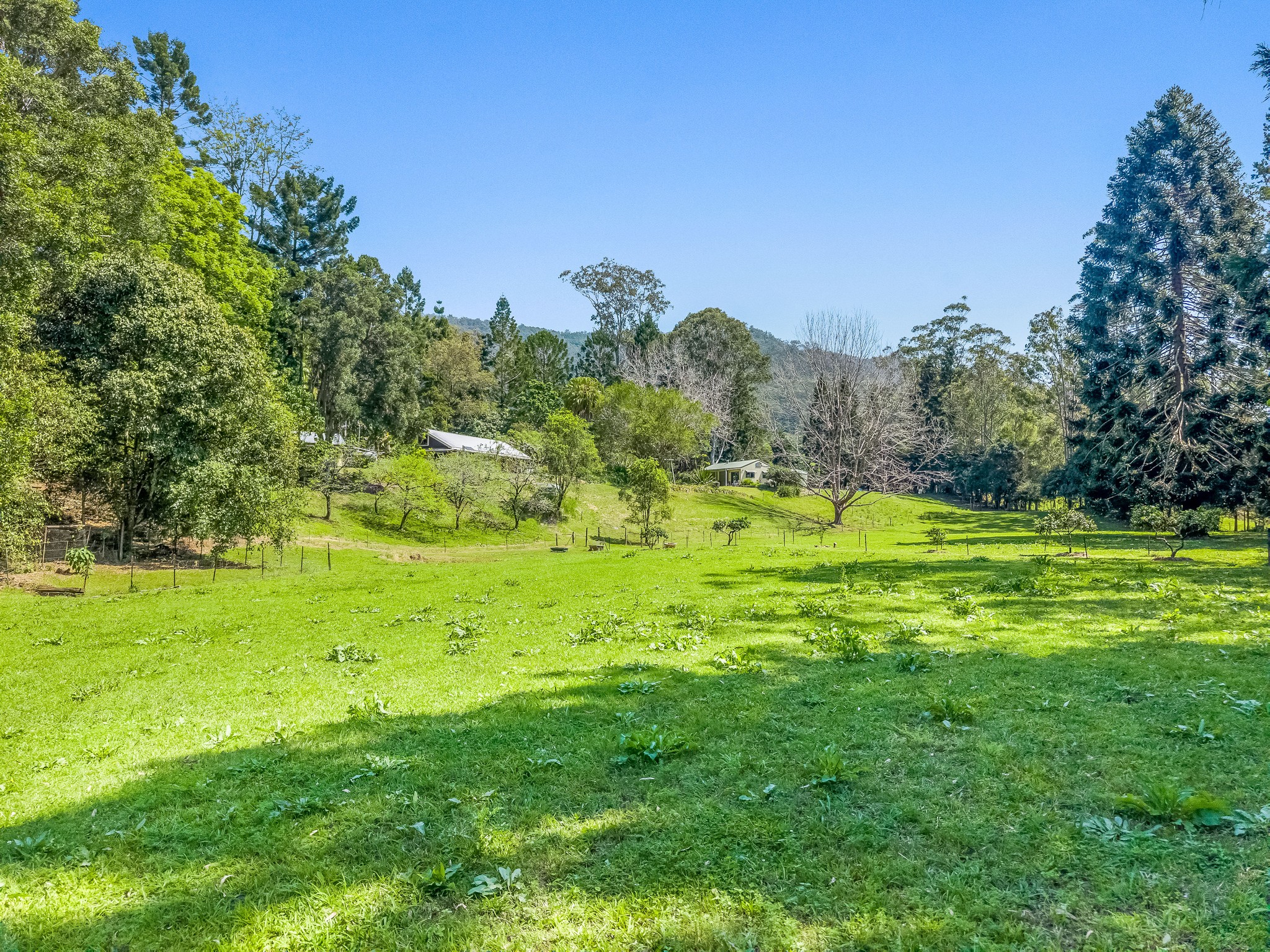 698 CAWONGLA ROAD, Larnook