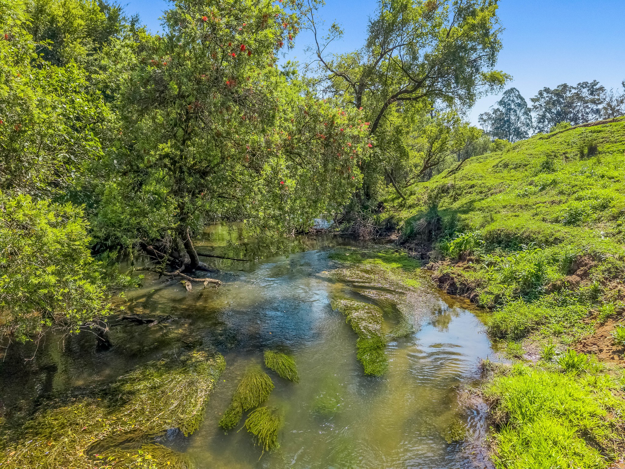 698 CAWONGLA ROAD, Larnook