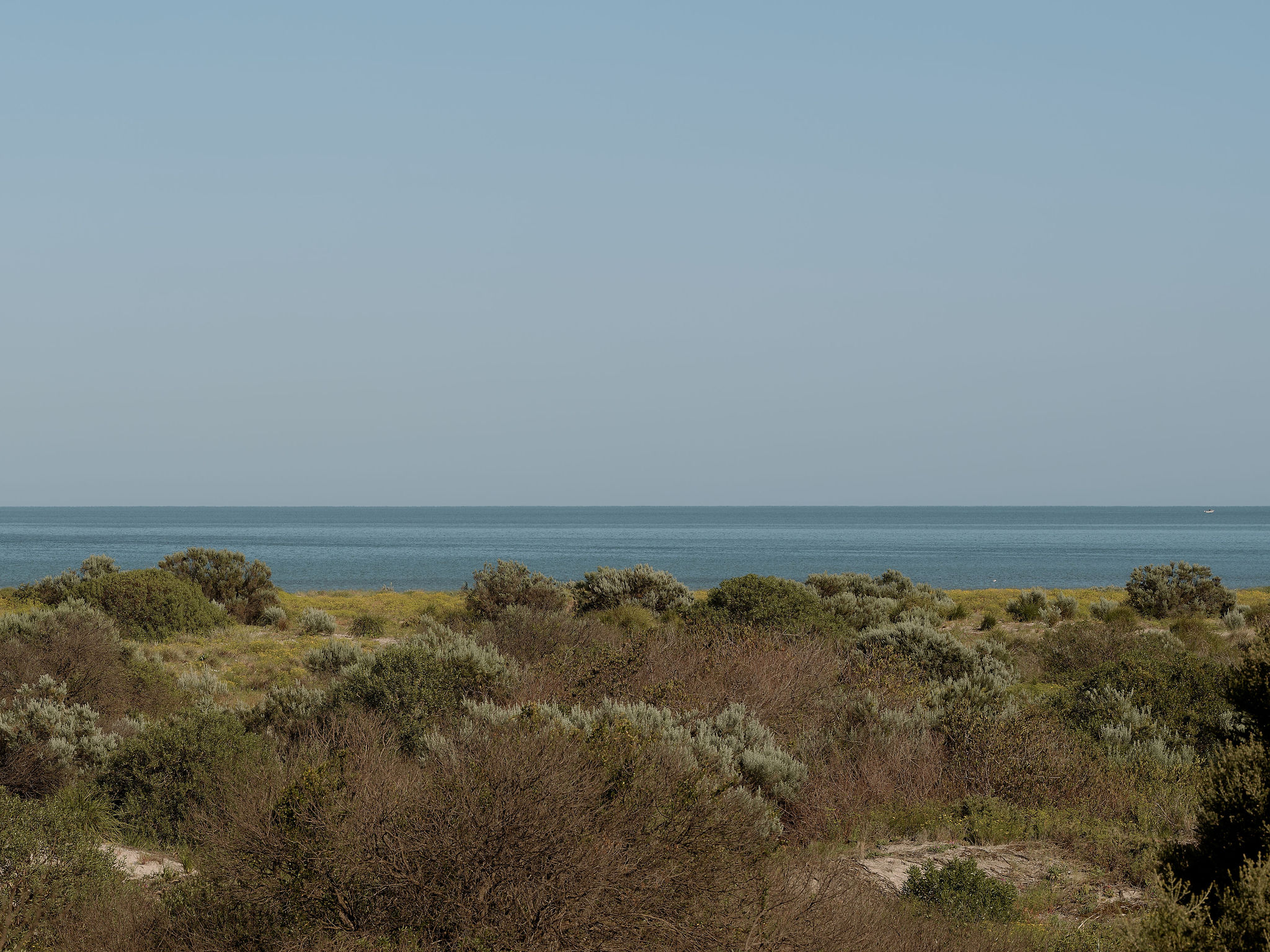 45 Oceanview Drive, Taperoo