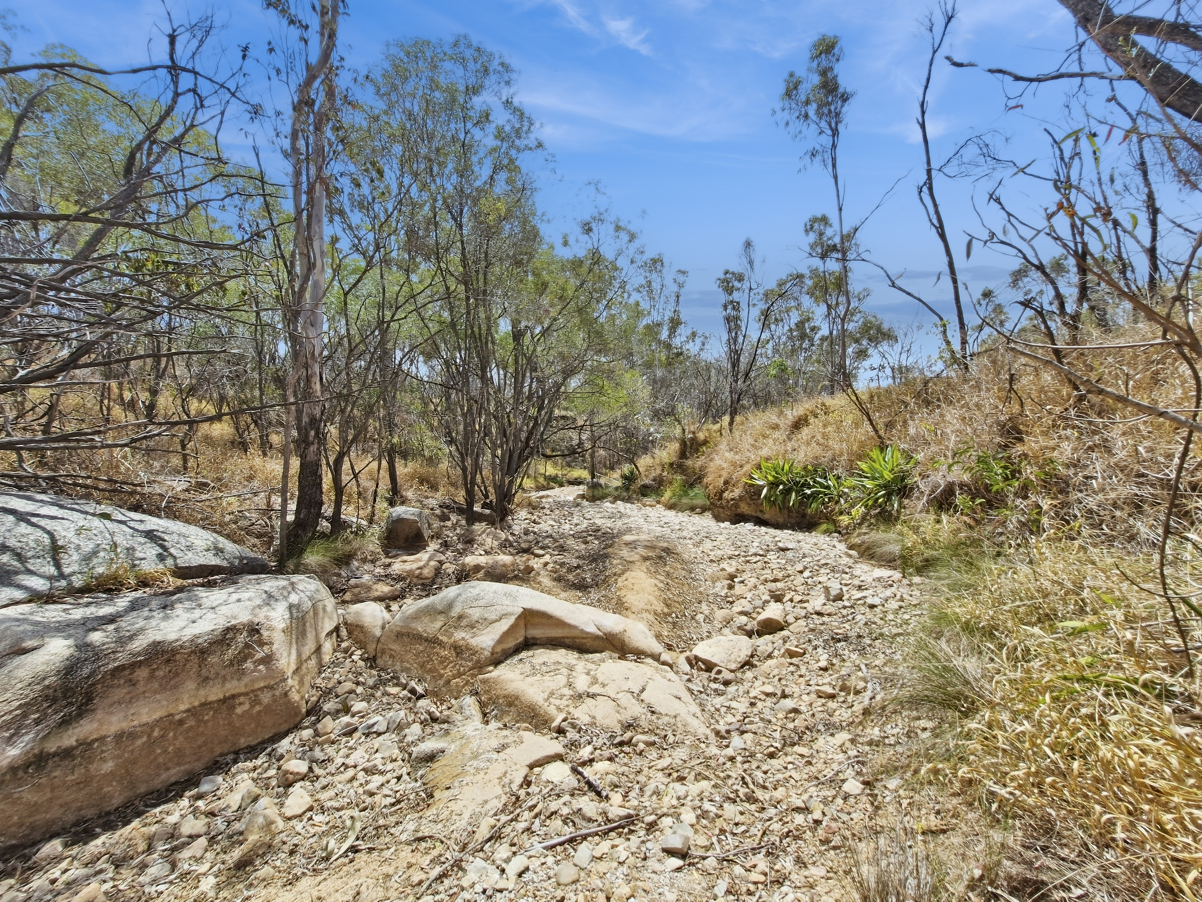 29 Bischoff Mill Road, Watsonville