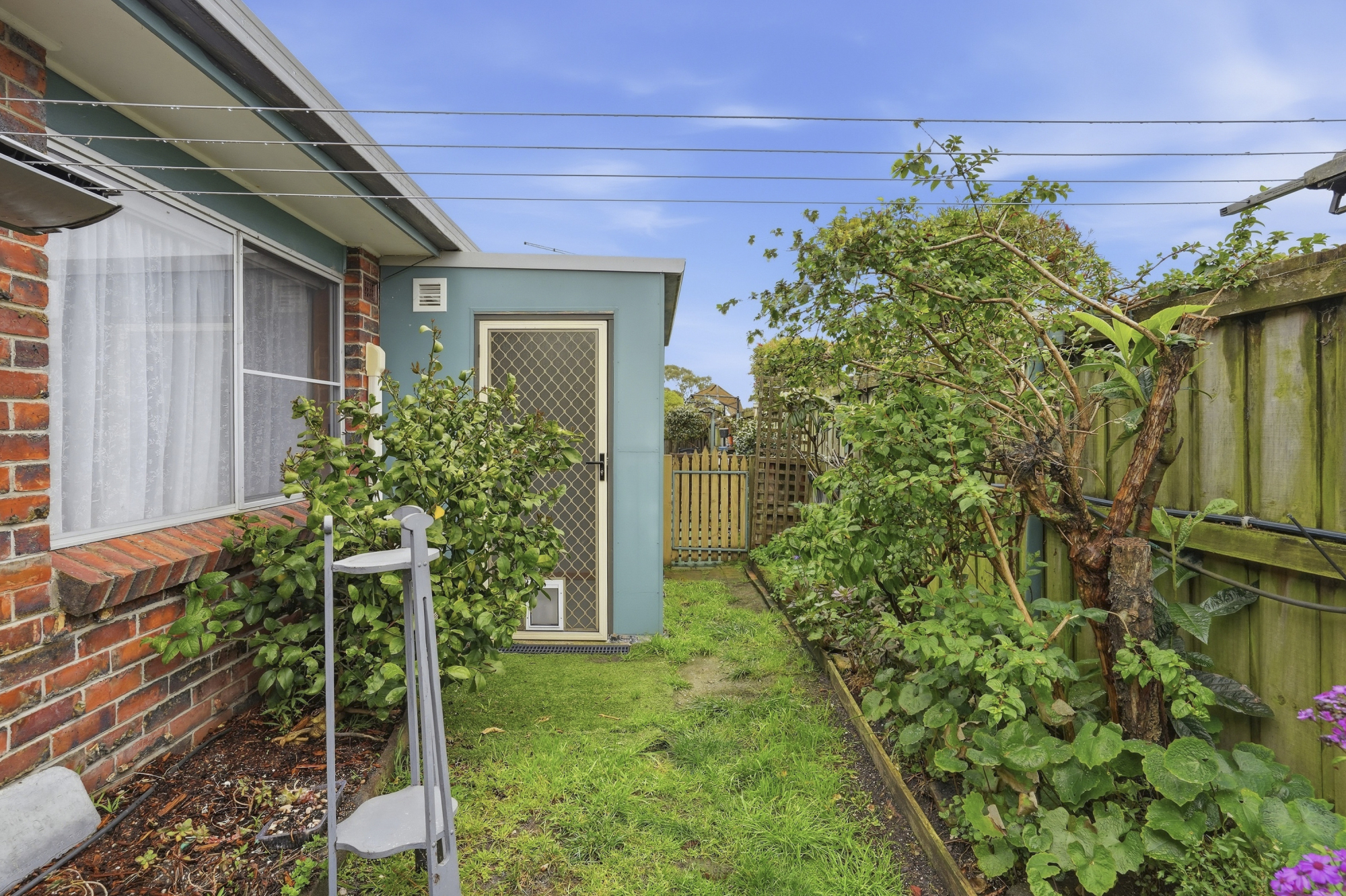 3 / 39 Sorell Street, George Town
