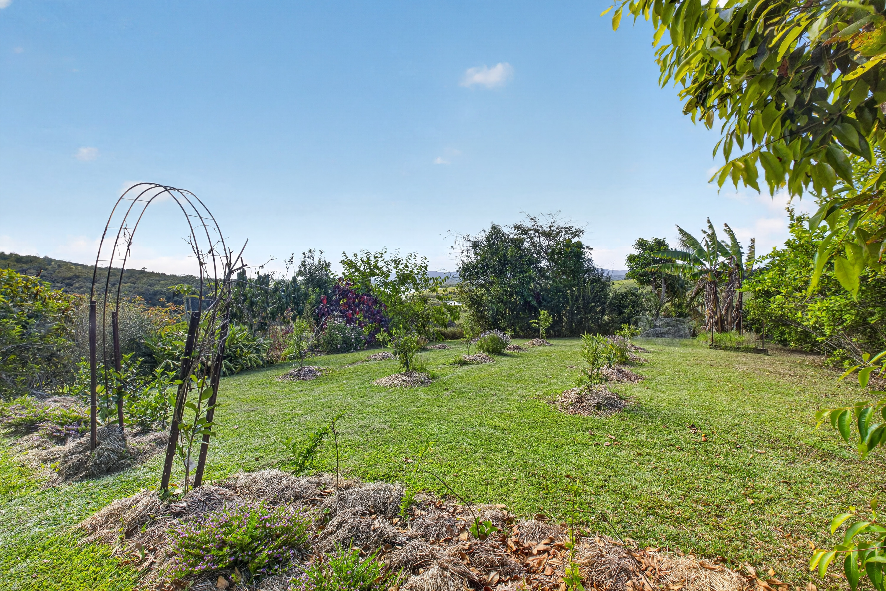 162 Lloyd Road, Barrine