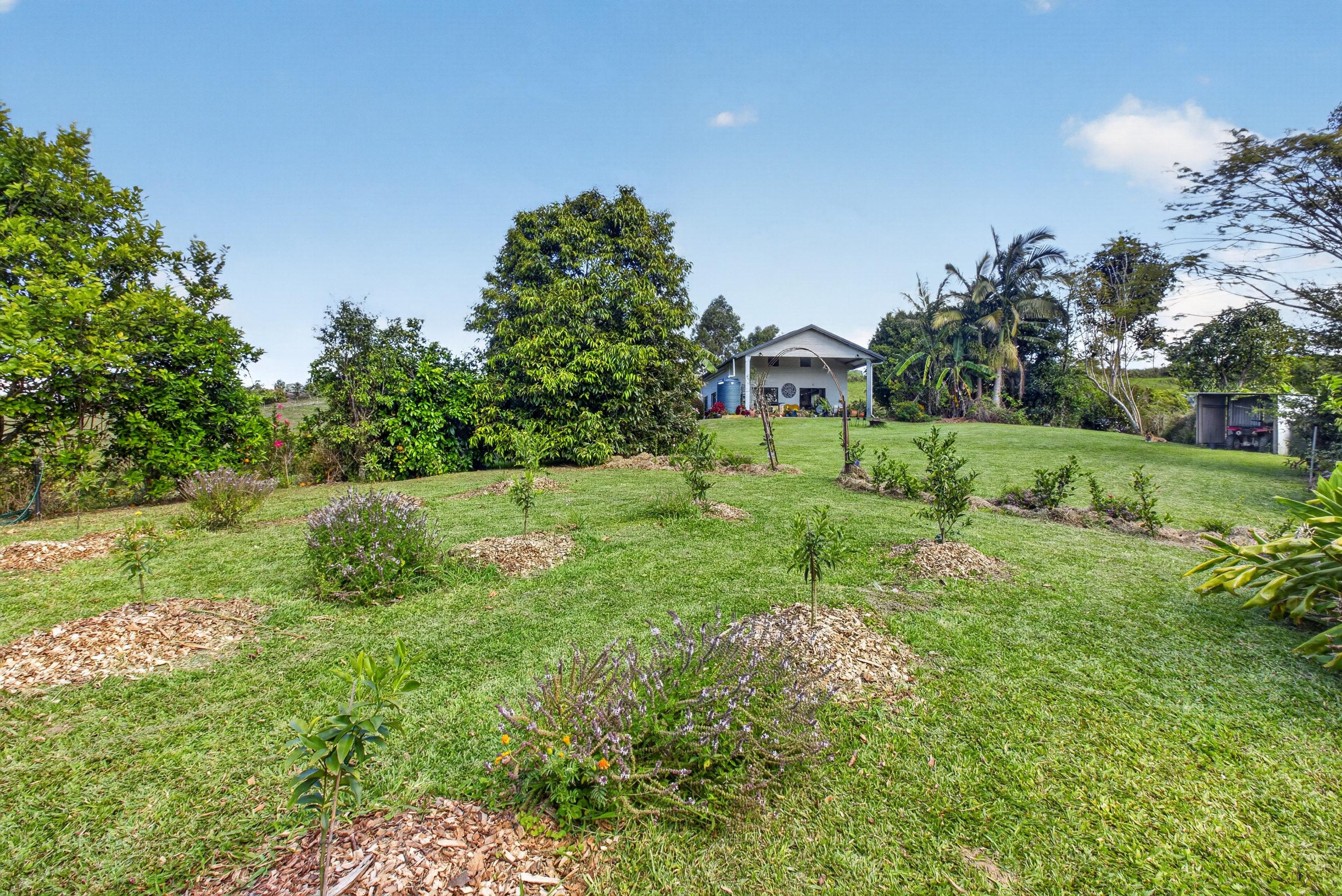 162 Lloyd Road, Barrine