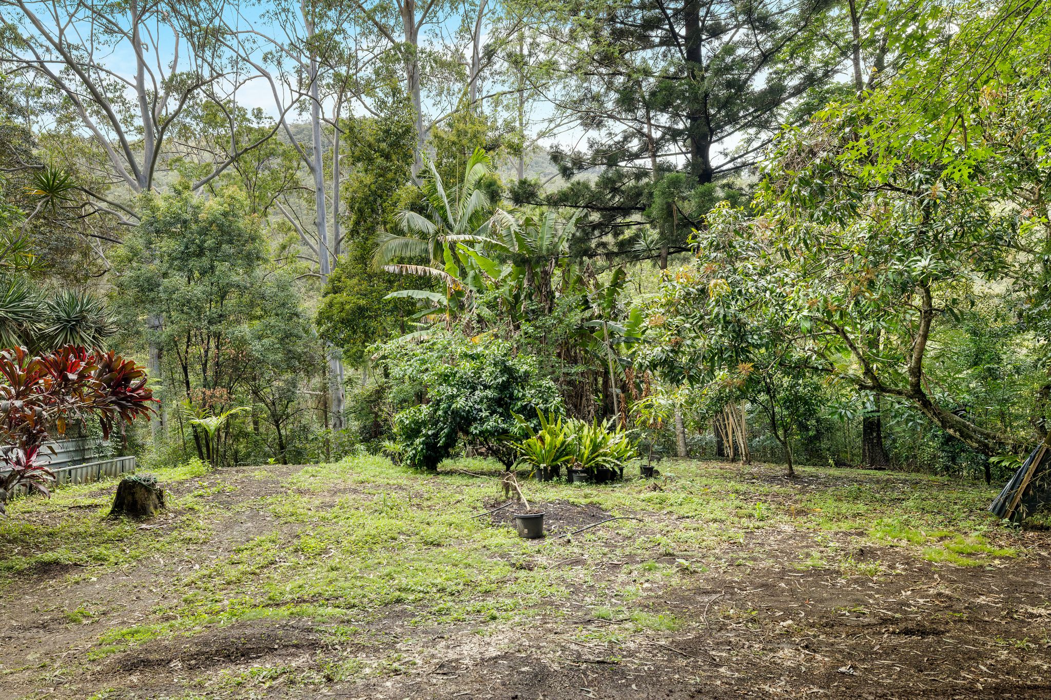 362 Boundary Creek Road, Bentley
