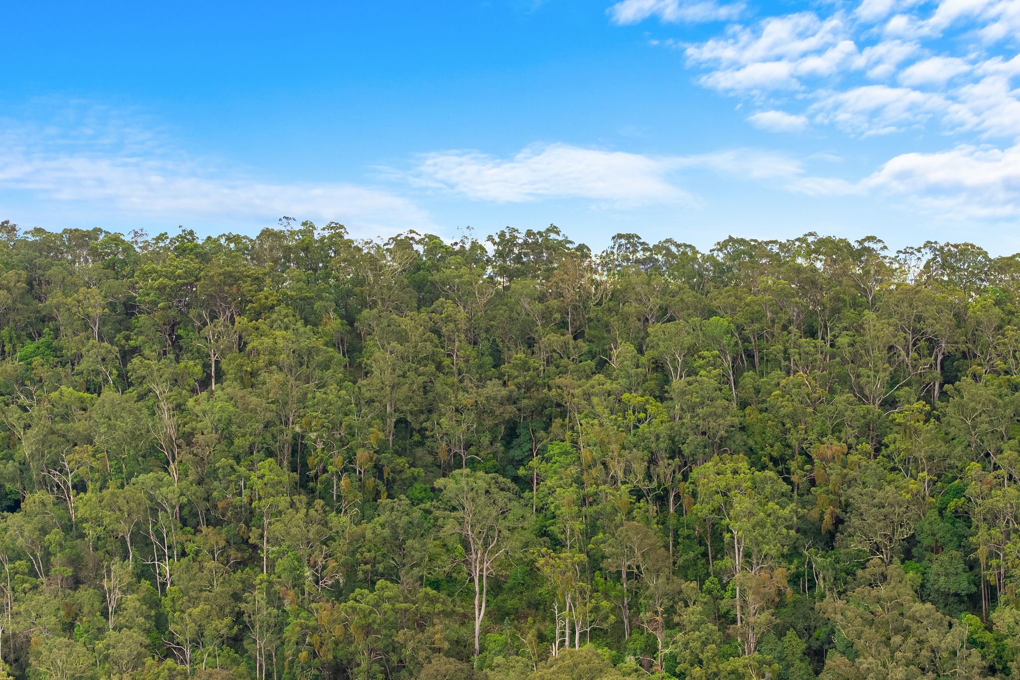362 Boundary Creek Road, Bentley