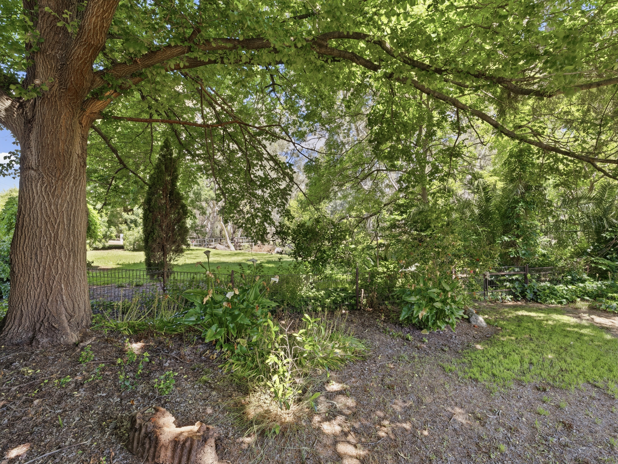 25 Crisp Street, Wangaratta