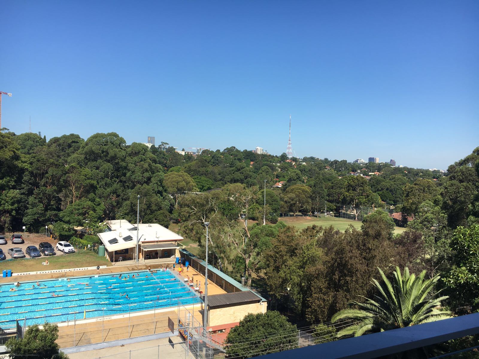 1 Pottery Lane LANE COVE, NSW 2066 Oxford Real Estate Agency